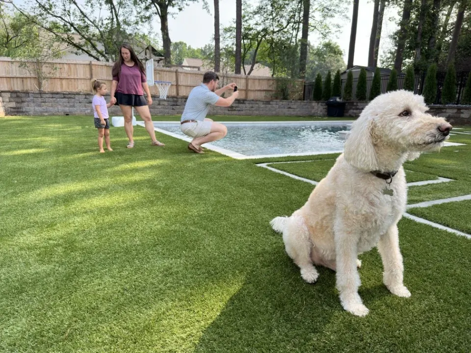 Artificial grass lawn with family and dog by the pool