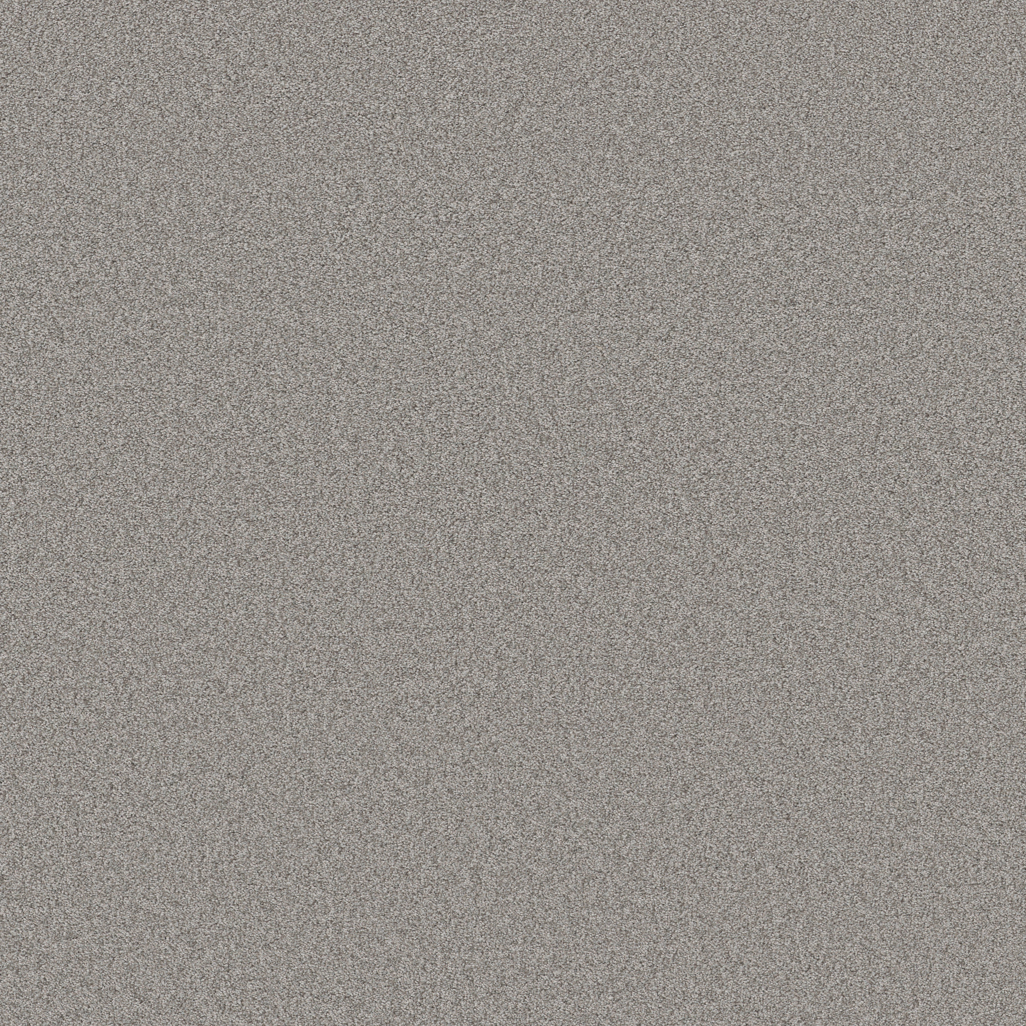 DEL RIO II GREY FOX MAIN