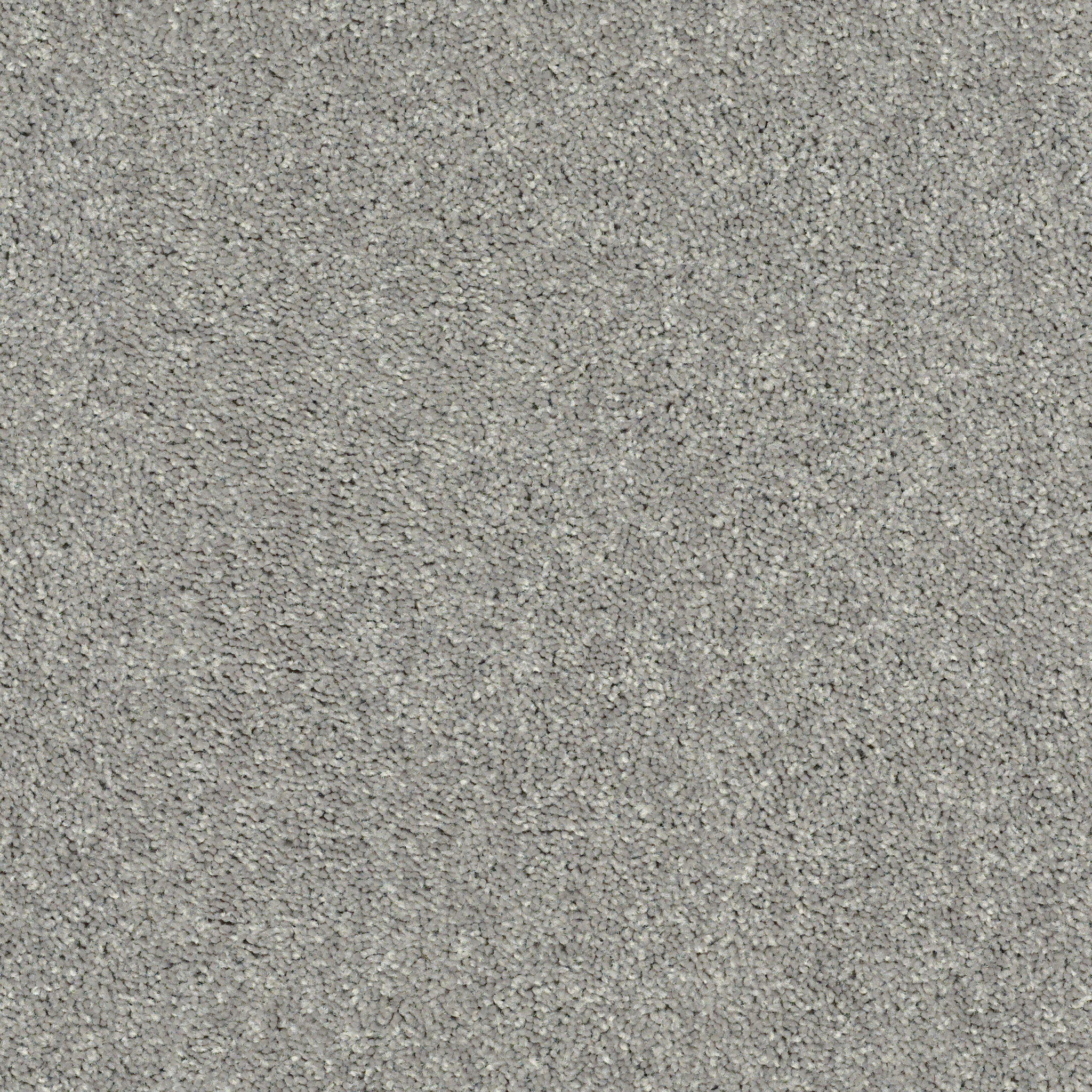 CABANA BAY SOLID DOLPHIN MAIN