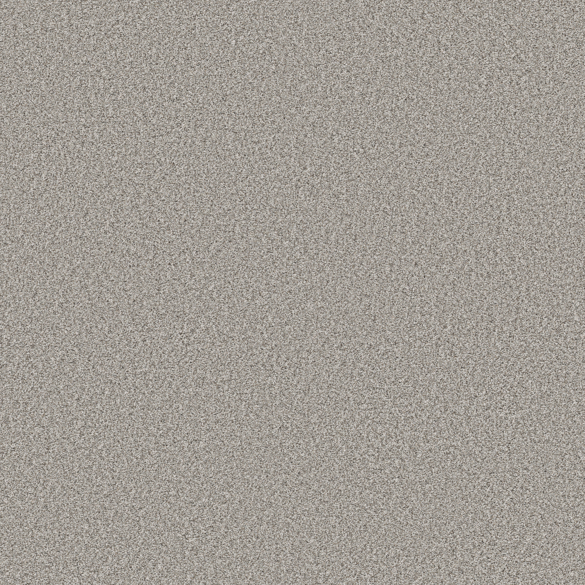 TIMELESS TONE DISTANT STAR MAIN