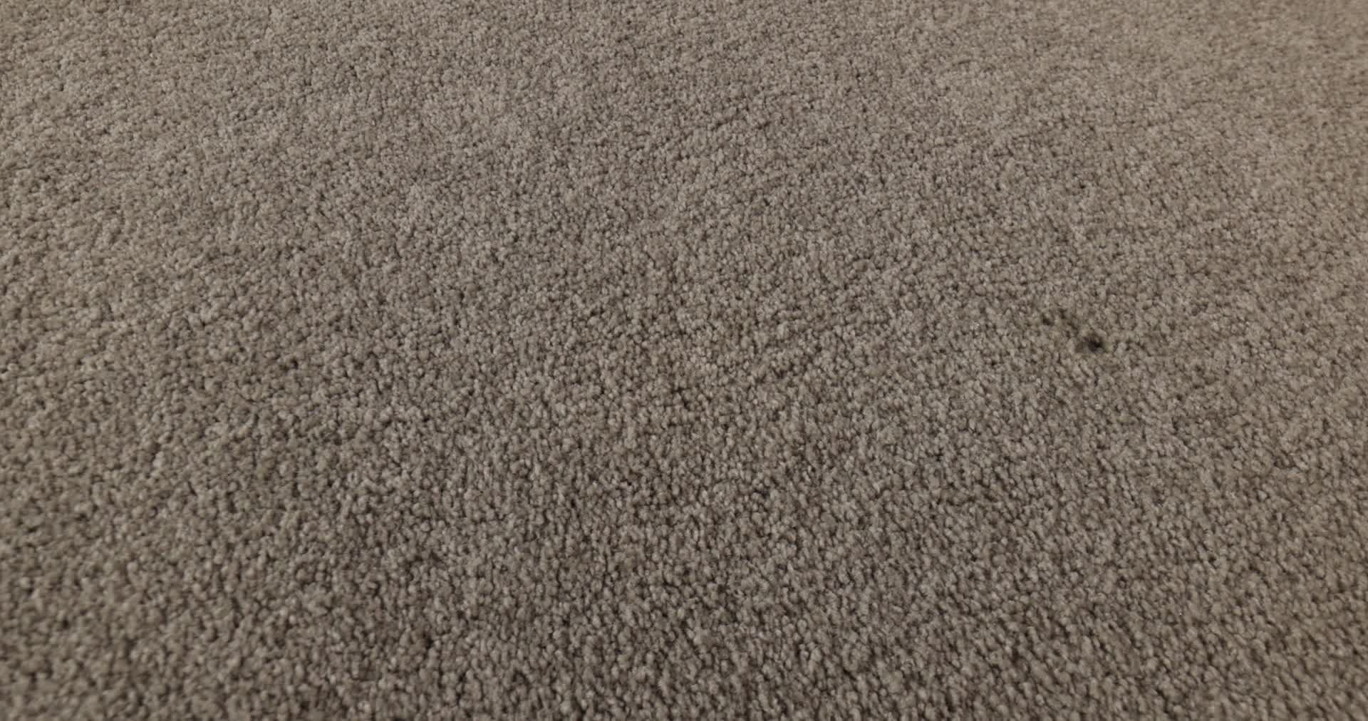 MAJORITY RULES ASHEN 360PROD