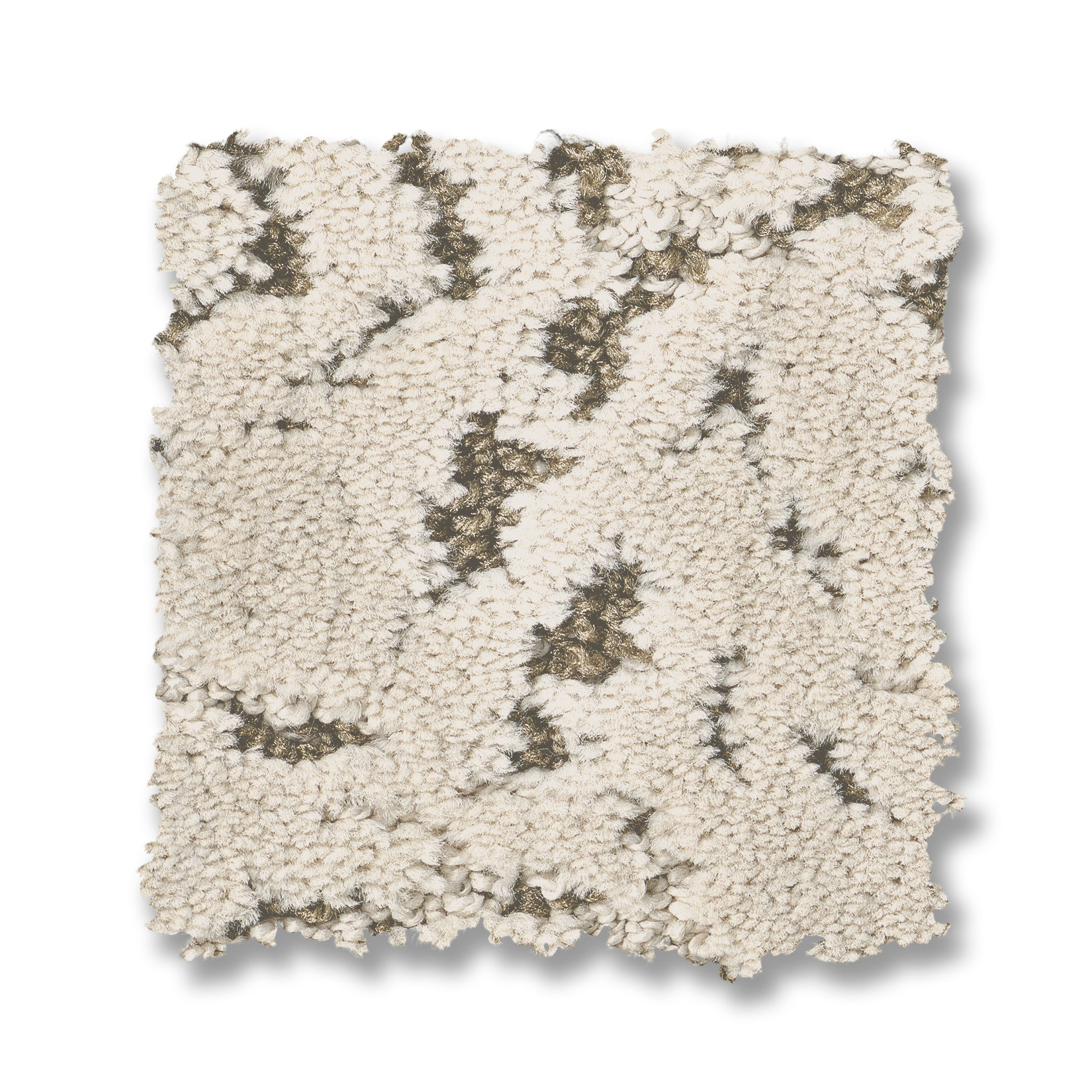 AUTOGRAPH SPECIAL OCCASION SWATCH