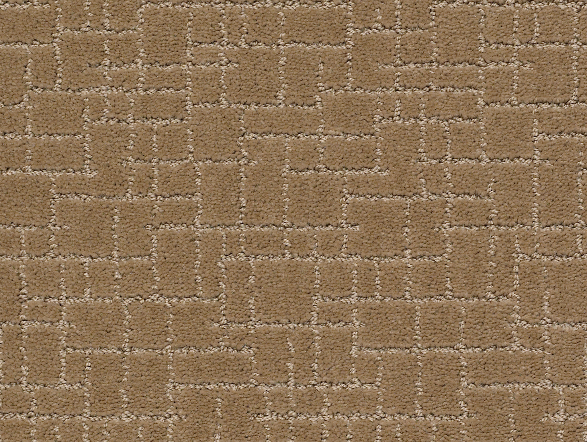 FAUX PAW PEANUT SHELL MAIN