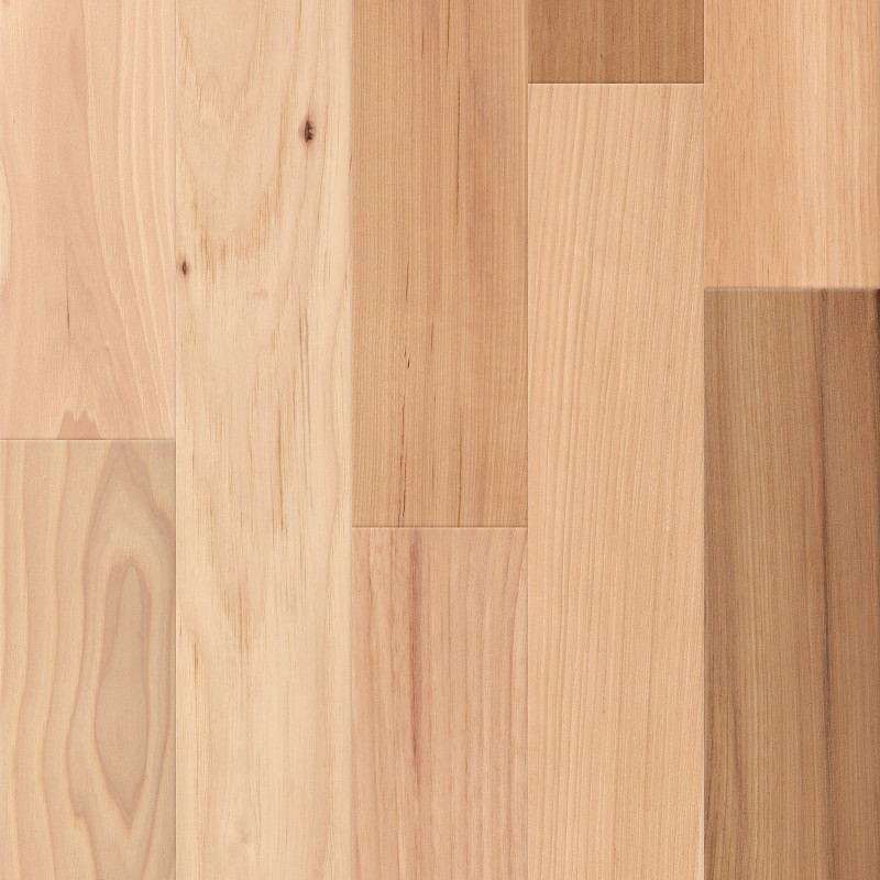 NATURAL CLASSICS HICKORY 3" in Natural Hickory by Shaw Floors