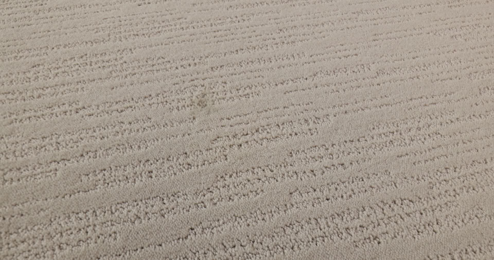 MAKING MEMORIES NEED A HUG 360PROD