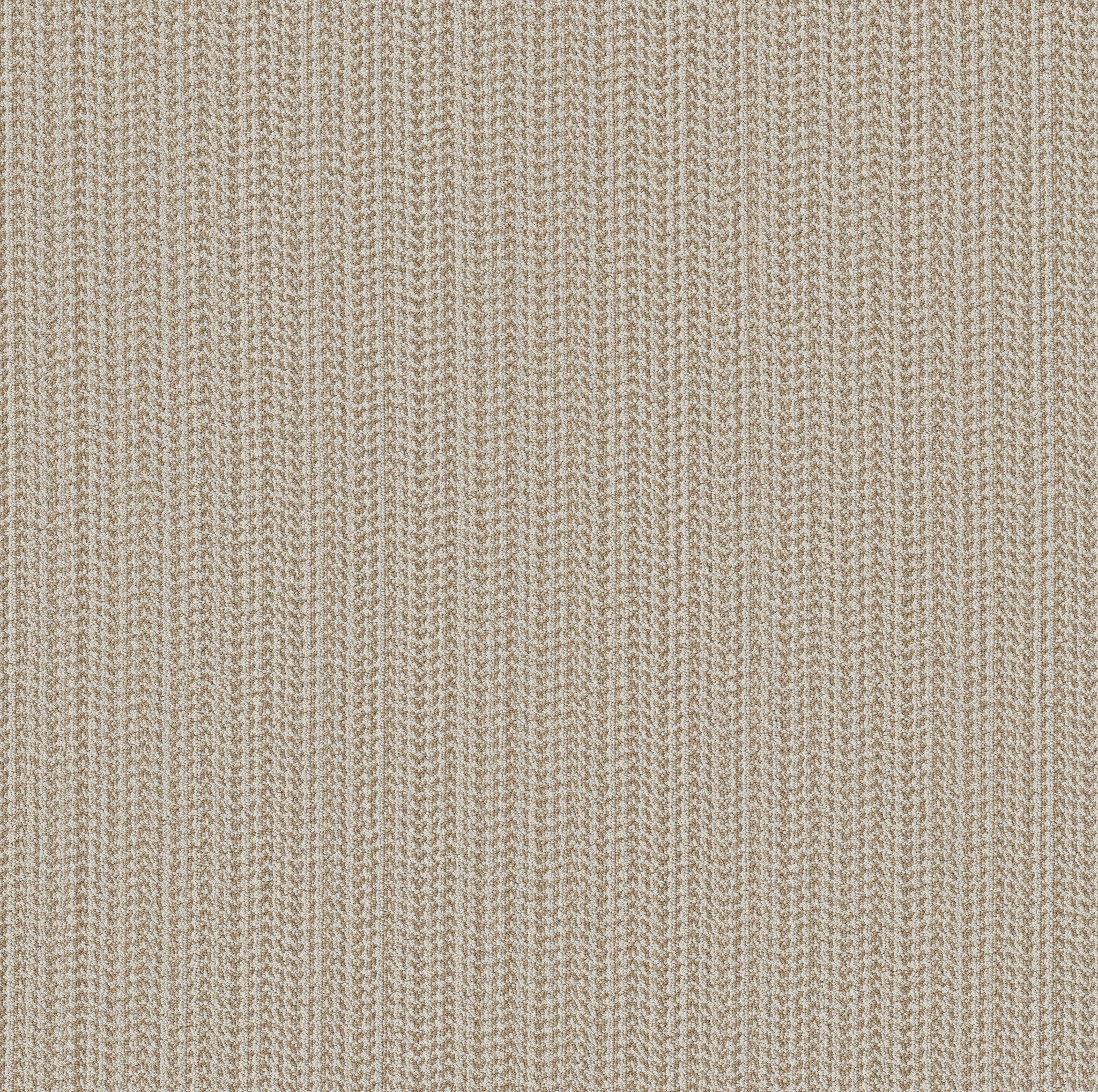 MARQUET GOLD BAND MAIN