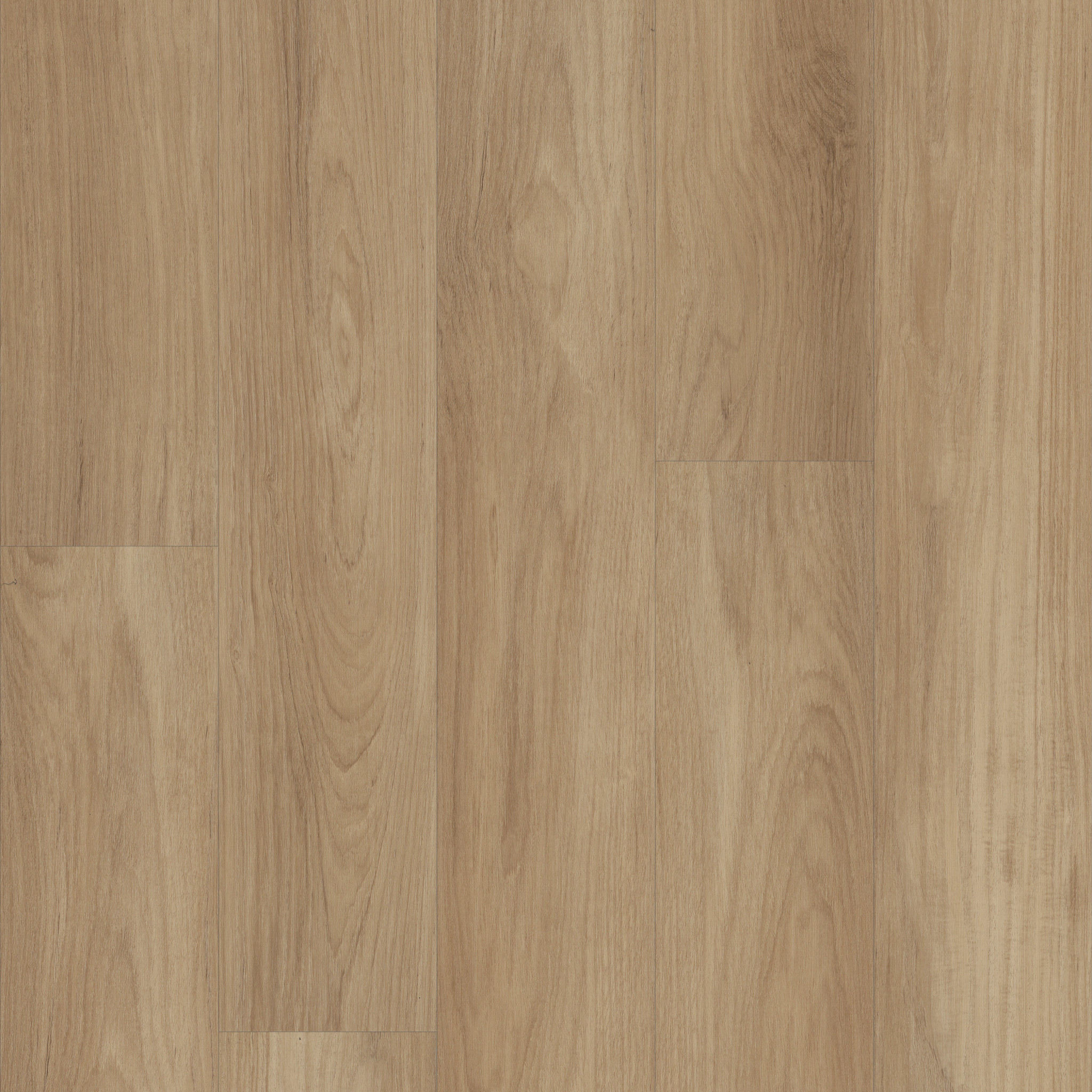 DISTINCTION PLUS HAZELNUT BROWN MAIN