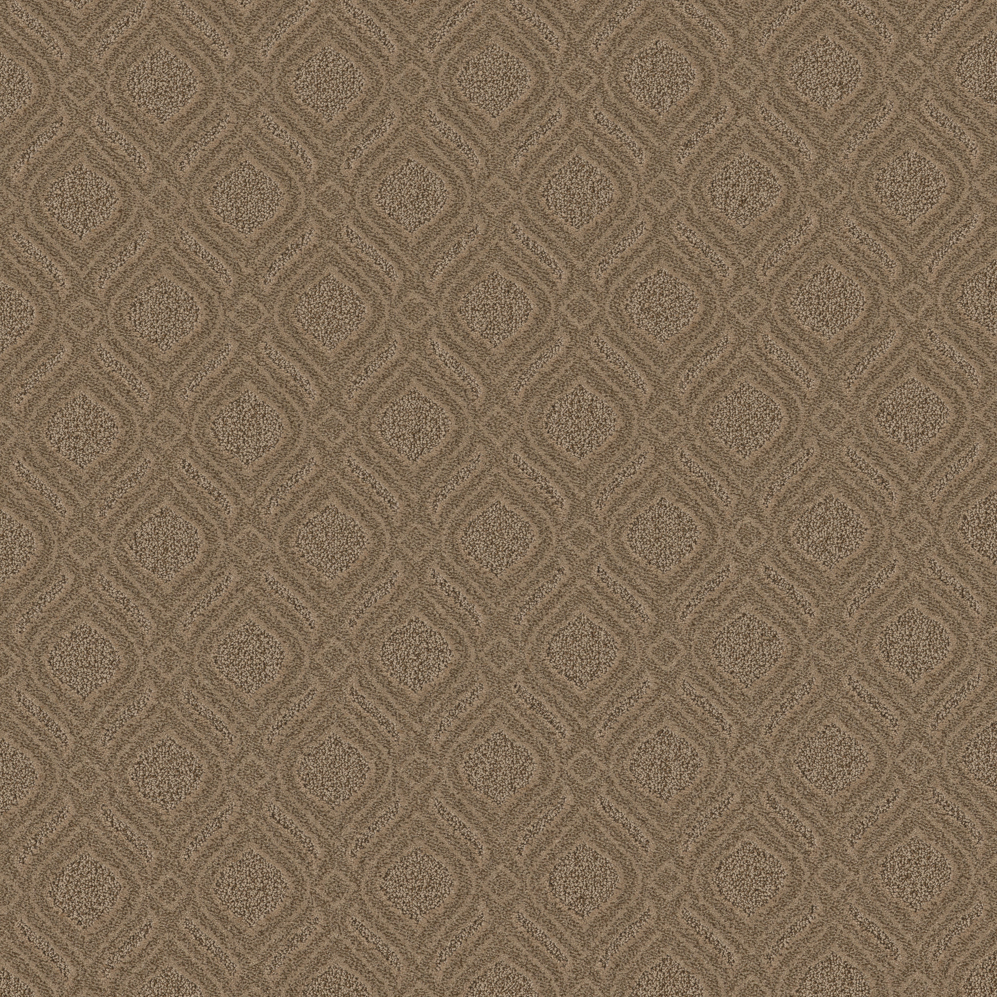 EXPRESSIVE OPEN CANYON MAIN