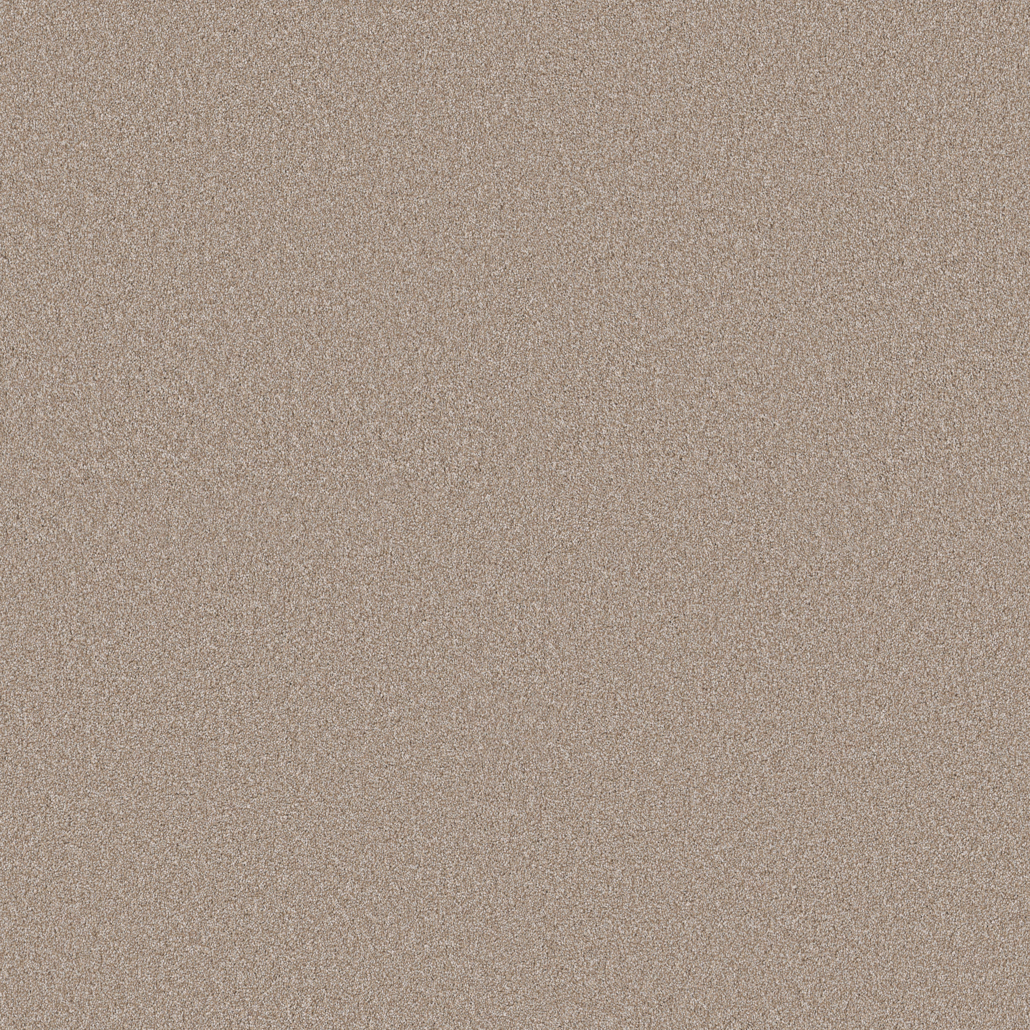 CLASSIC TONE LATTE MAIN