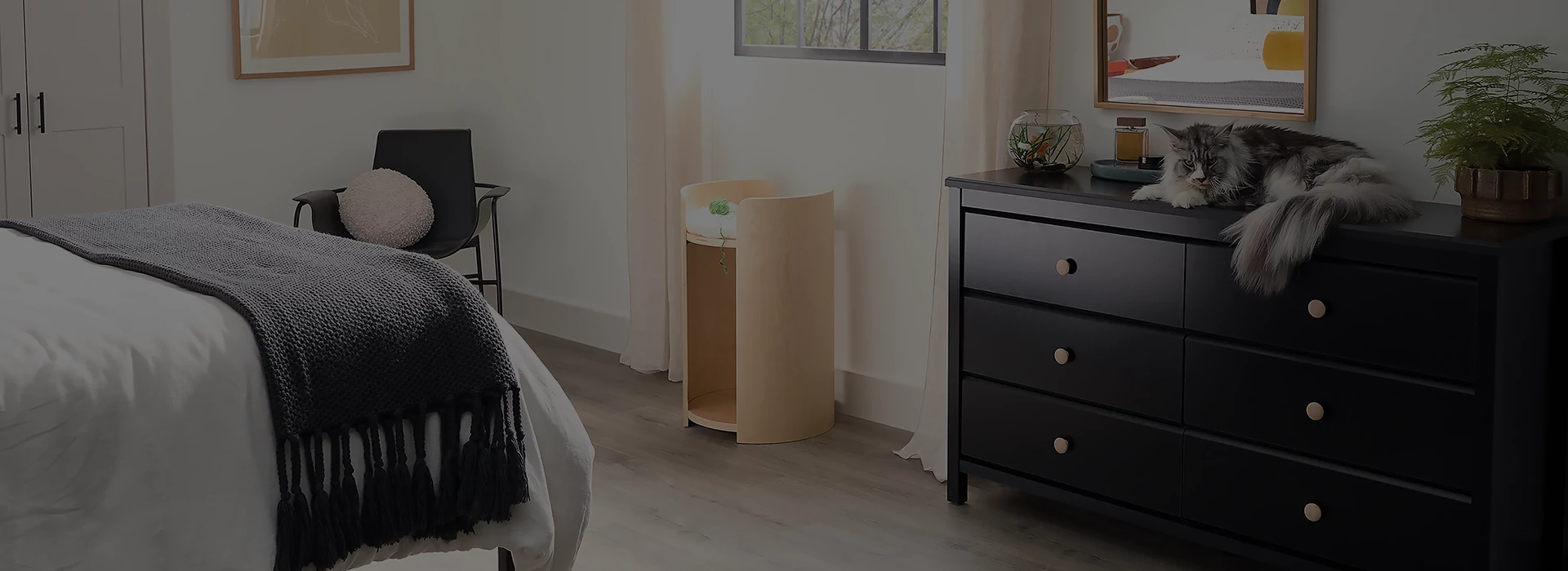 Bedroom with a cat sleeping on a dresser