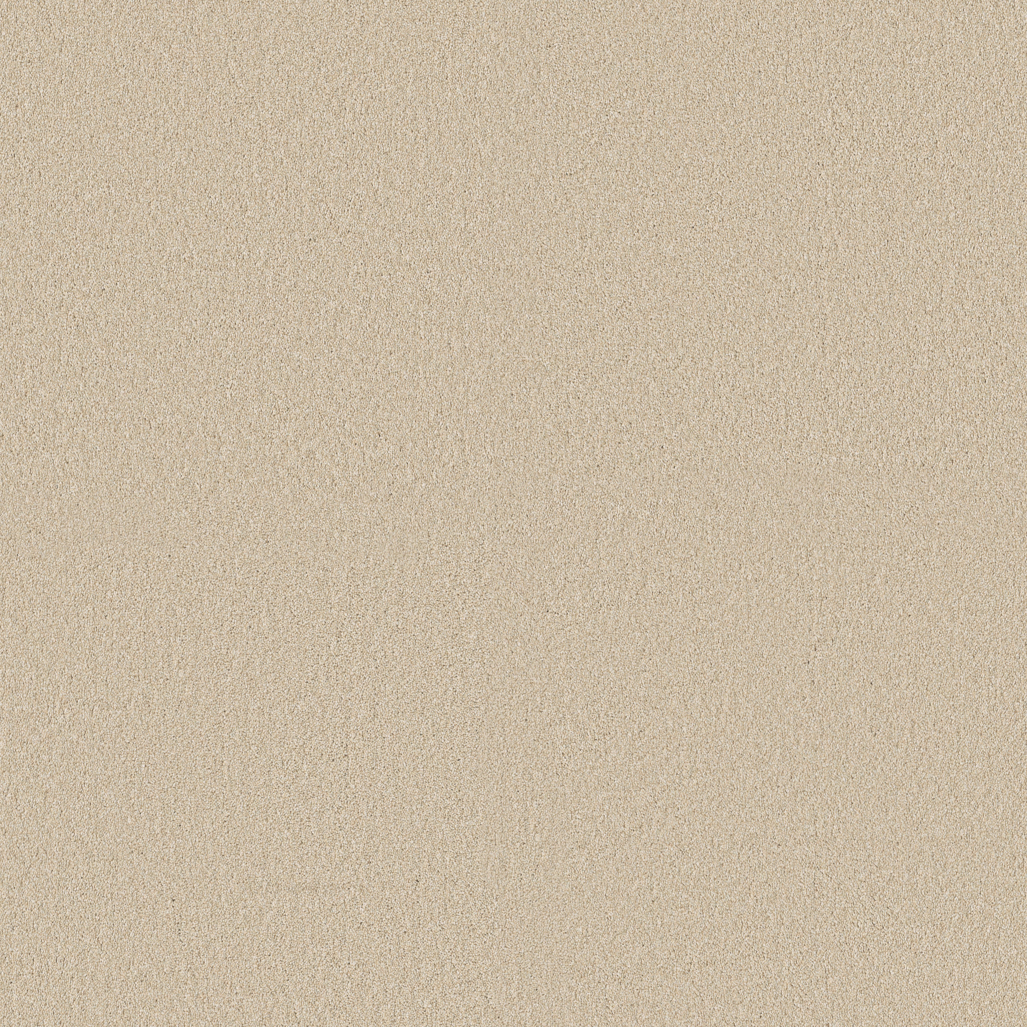 CLASSIC TONE BLUE SUMMERTIME MAIN