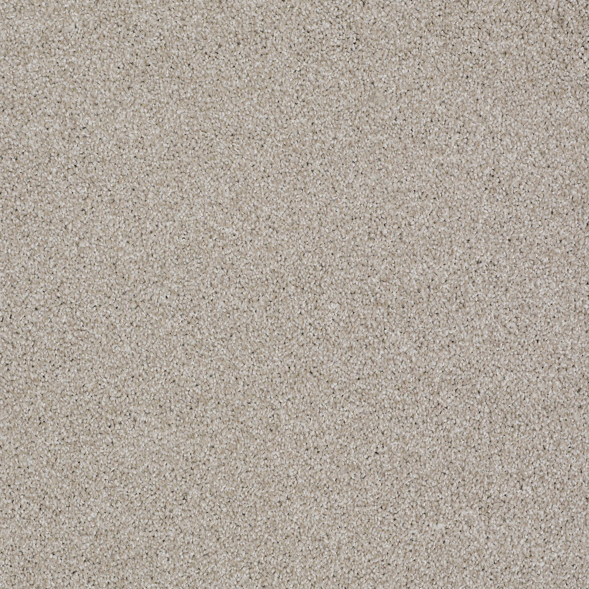 ALWAYS READY II REALIST MAIN