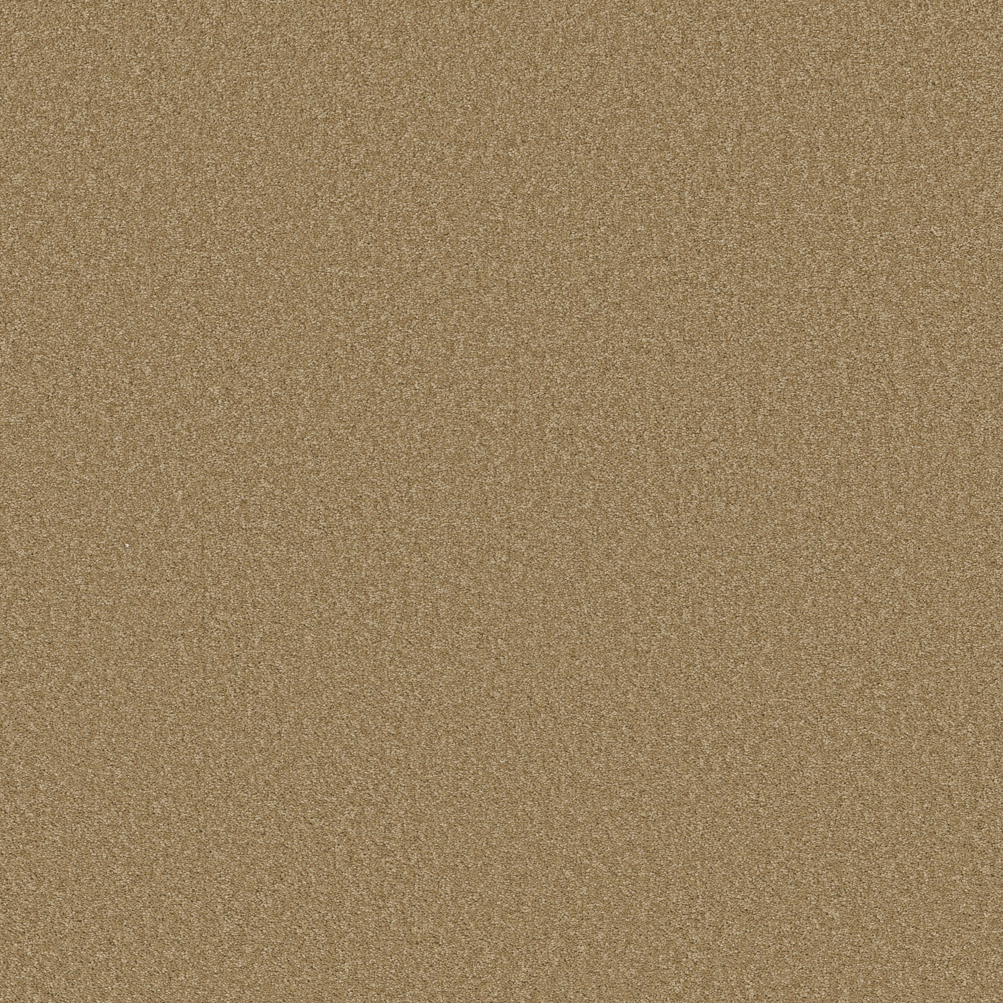 JEALOUSY STARCREST MAIN