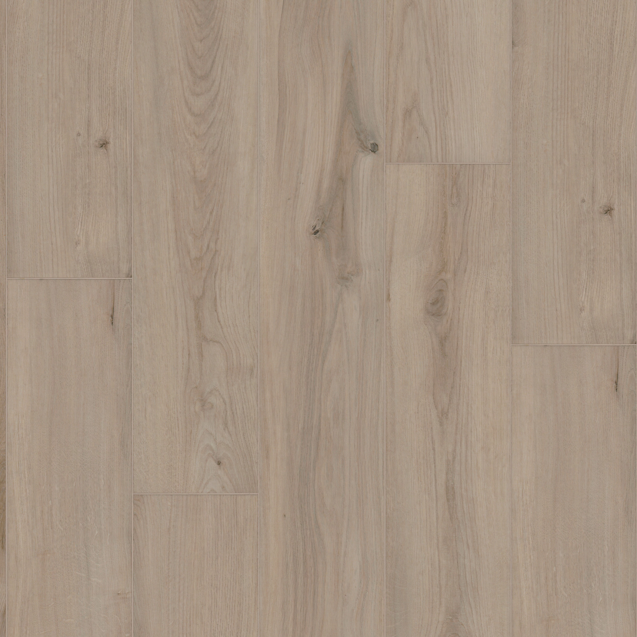 AMBITION WARM SAND MAIN