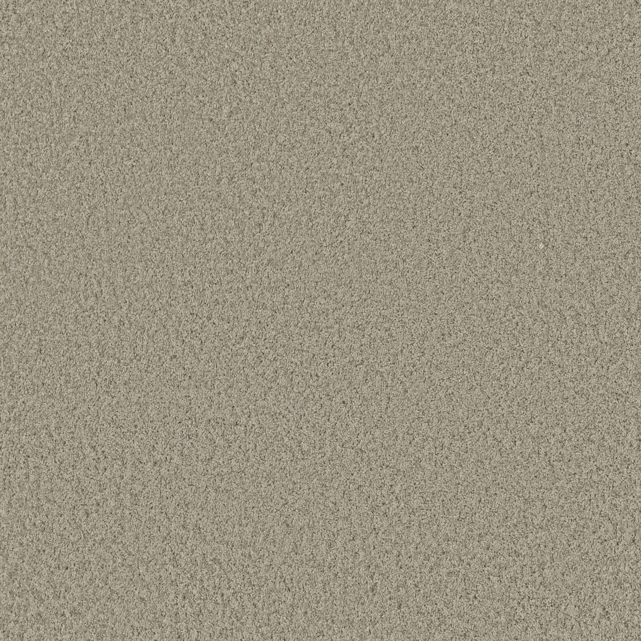 DAKOTA SPRINGS ABALONE MAIN