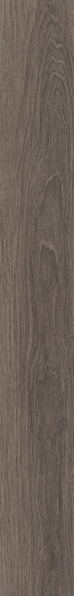 Delicate Pewter
