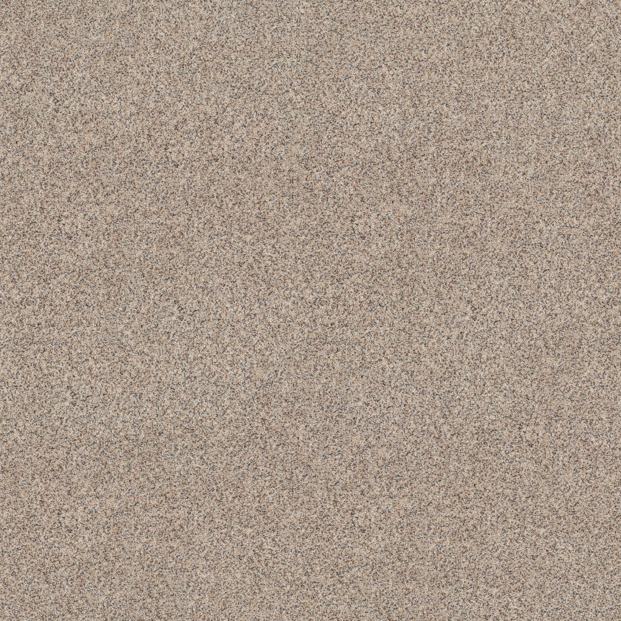 Topanga Canyon CALM IVORY MAIN