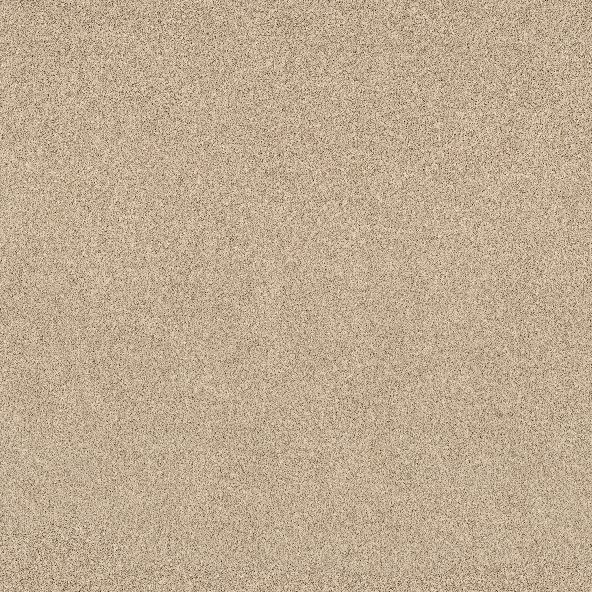 PURE AFFECTION S HOURGLASS MAIN