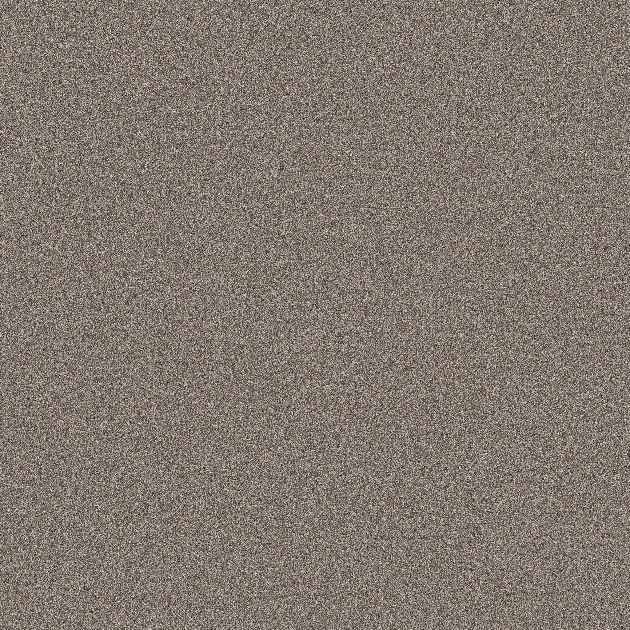 PURE AFFECTION T SHADOWS MAIN