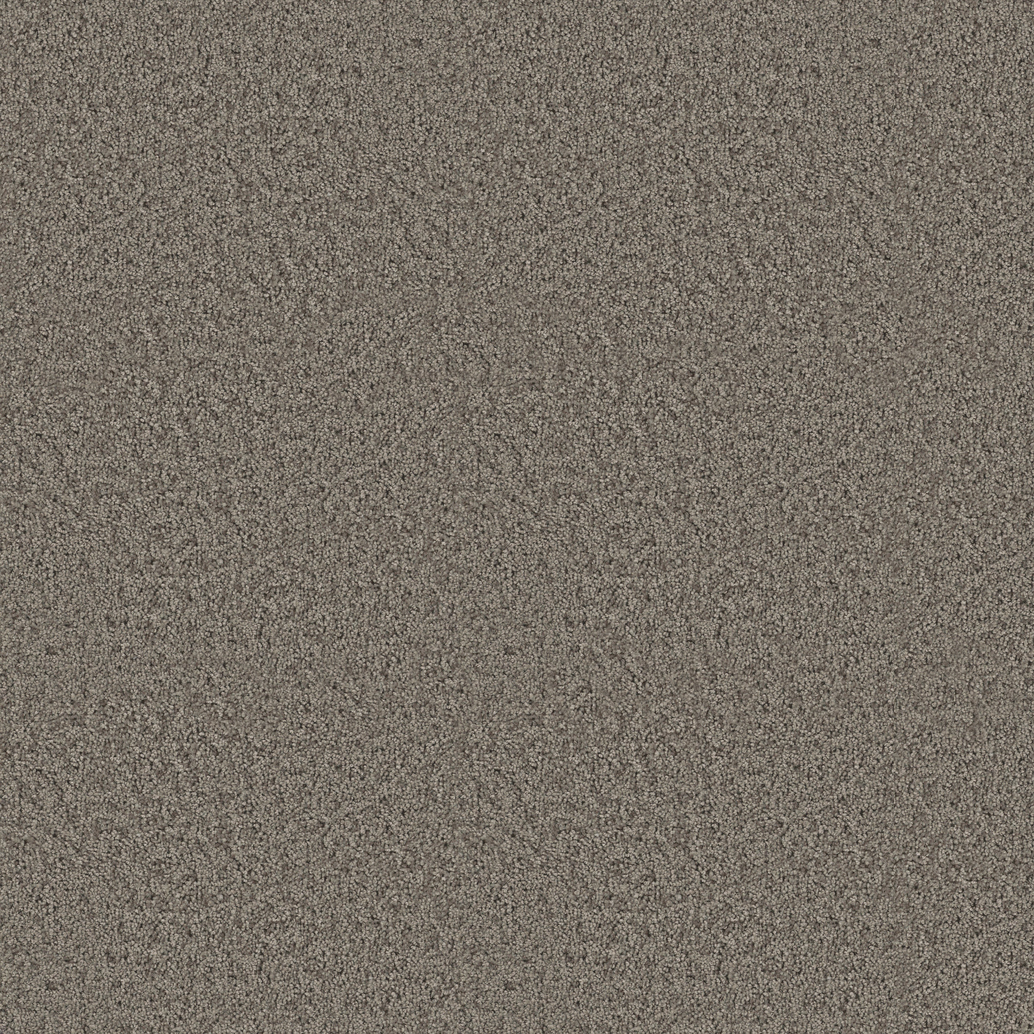 TAKE AWAY (S) SHADOW MAIN