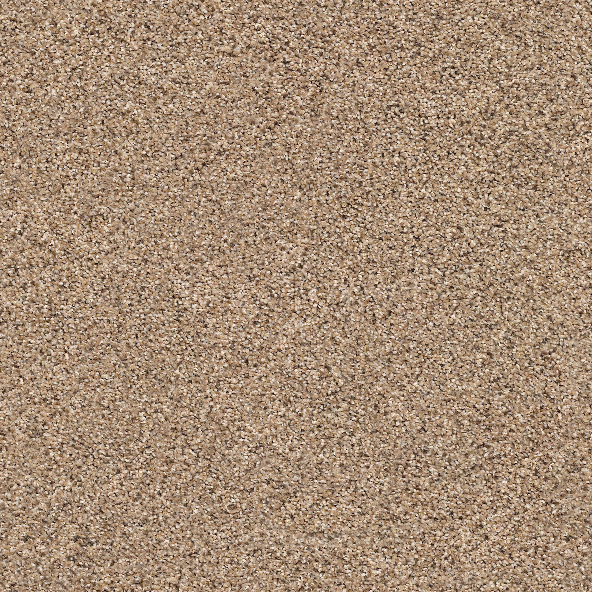 ELEMENTAL MIX II E9565 - ARROWHEAD | Carpets