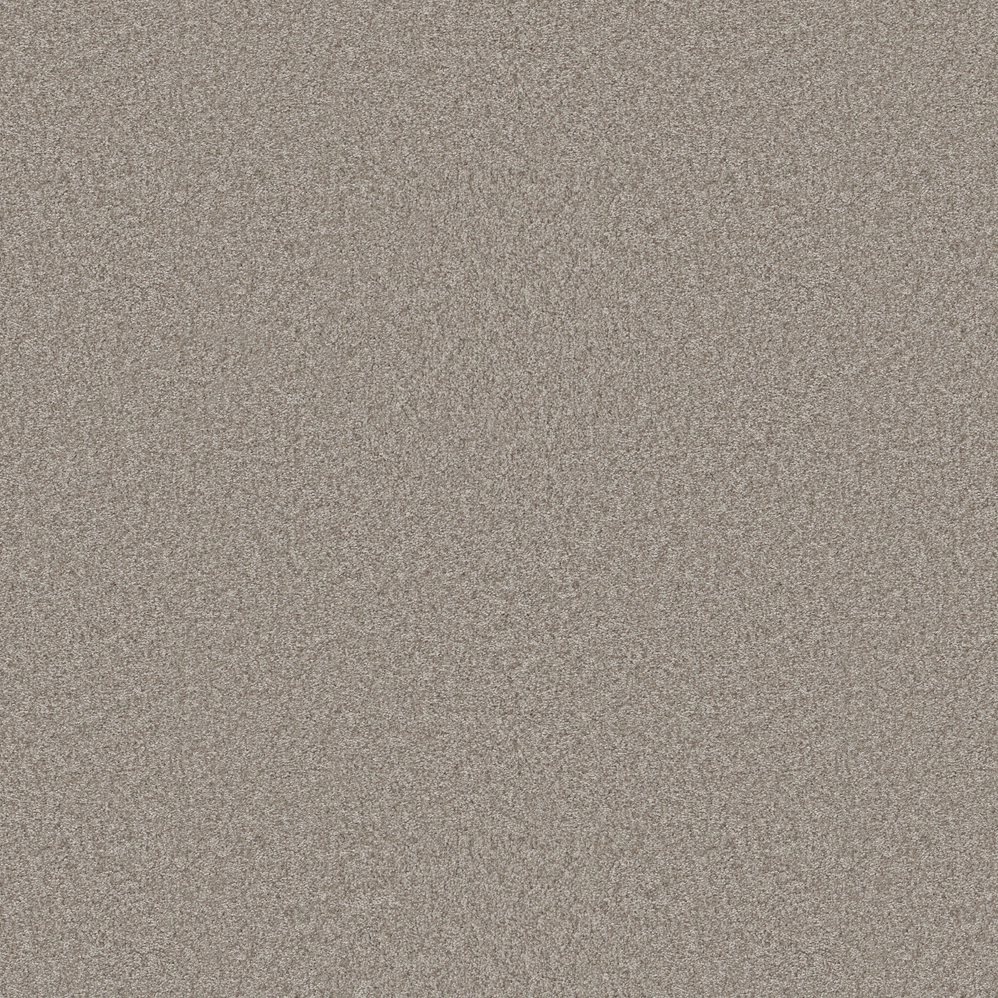 YOU GOT THIS II CHIC GREIGE MAIN