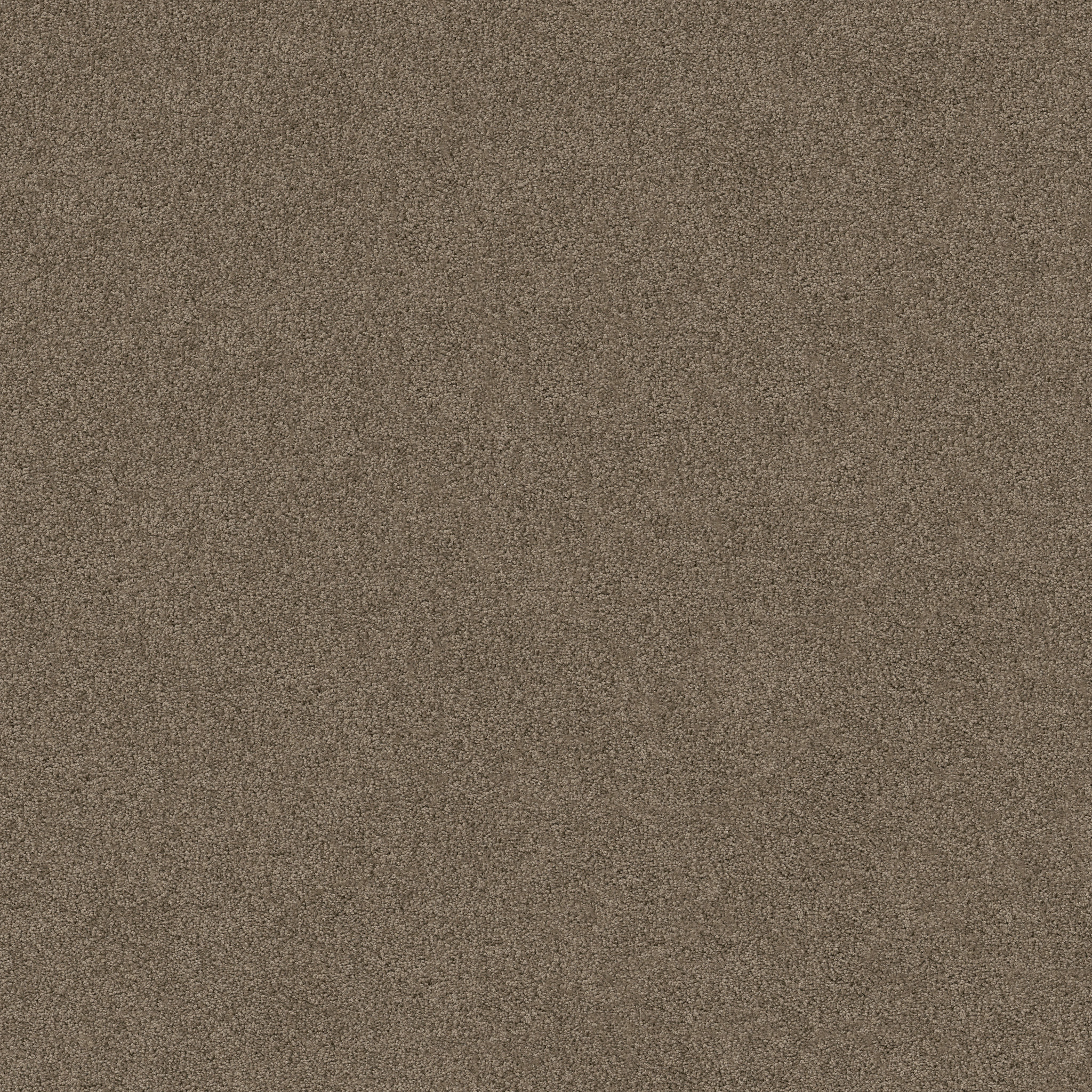 DREAMS I SIMPLY TAUPE MAIN