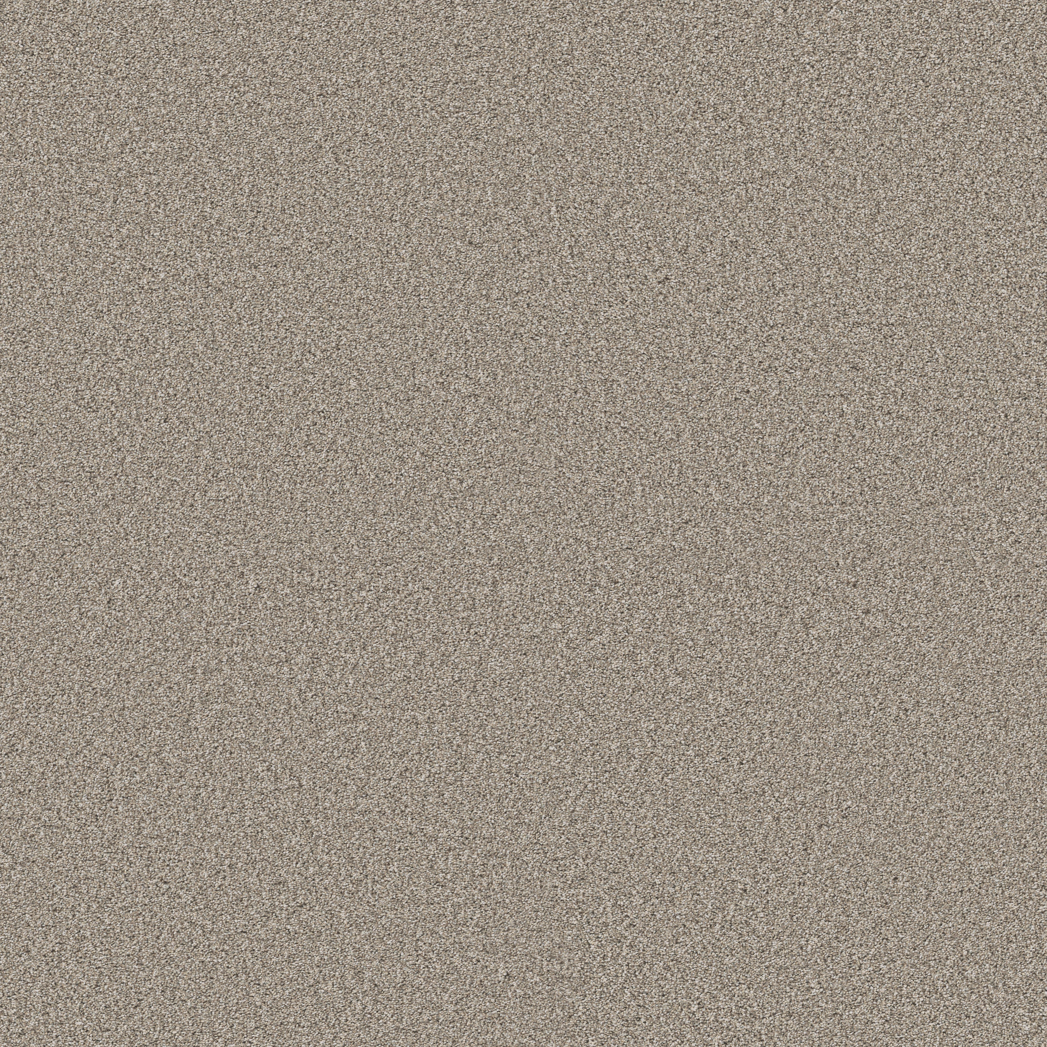 TIMELESS TONE BLUE PEBBLE PATH MAIN