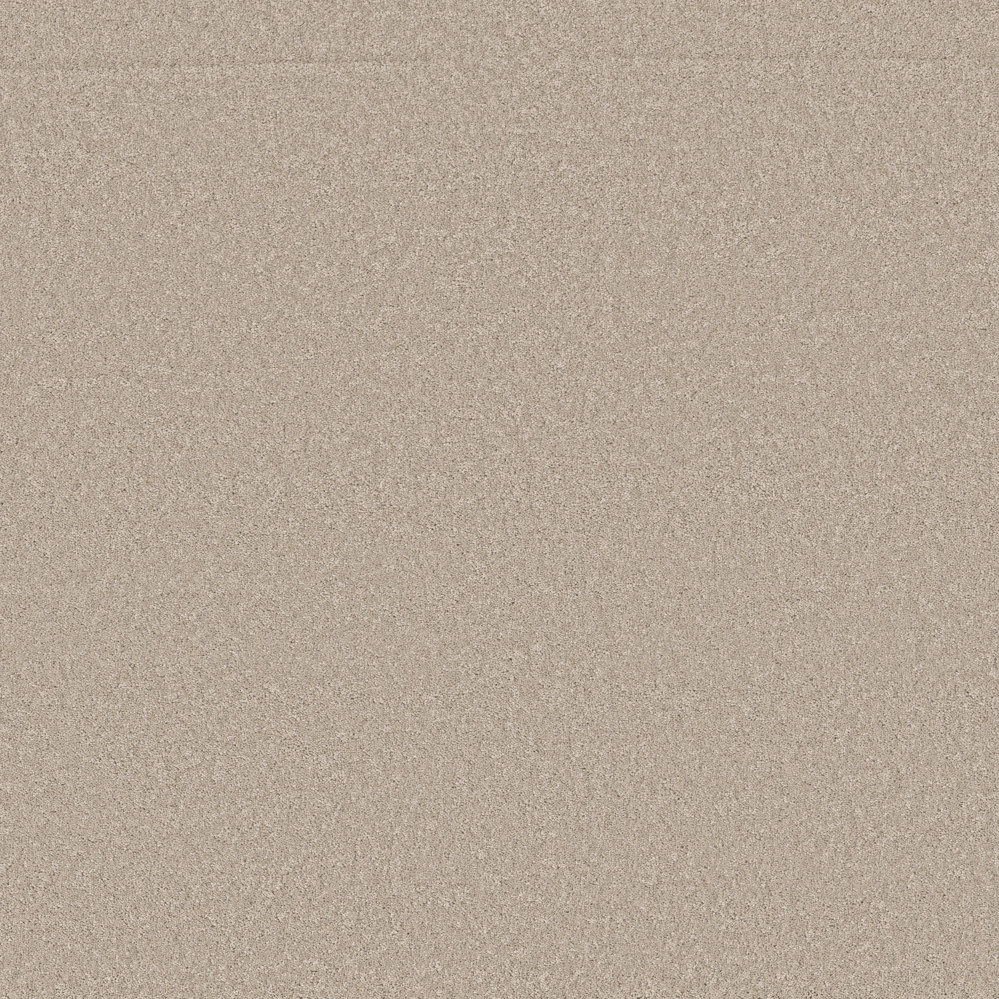 ENCHANTING SANDSHELL MAIN