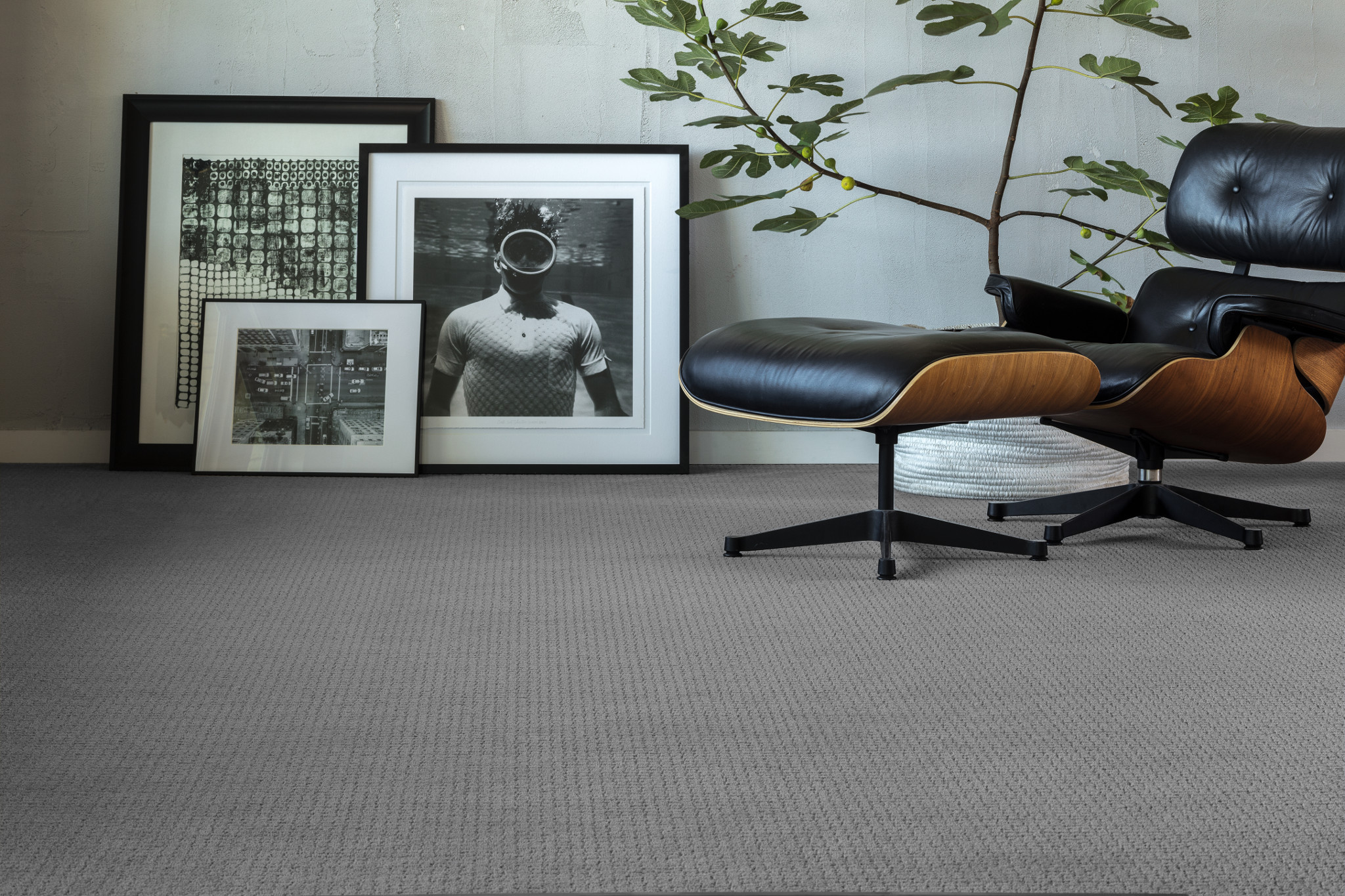 PAWSTRUCK PORTLAND StaticImage05