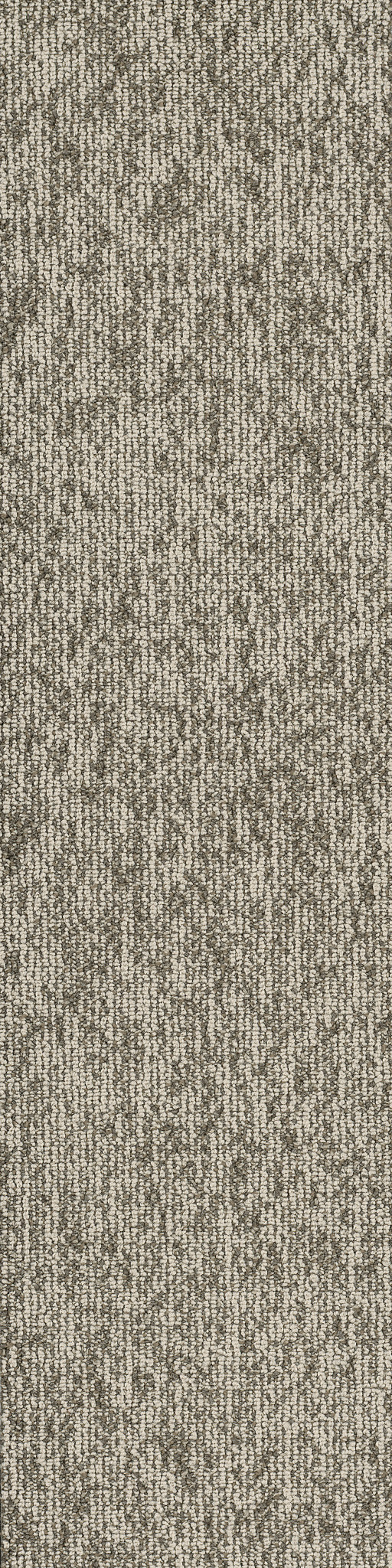 BASIN-54847-PINGO-00702-main-image