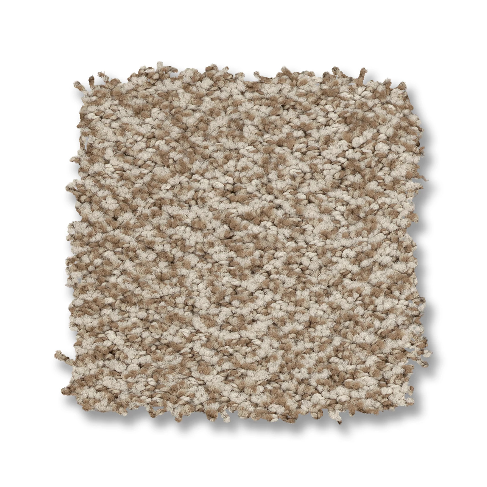 OBSCURA SEPIA SWATCH