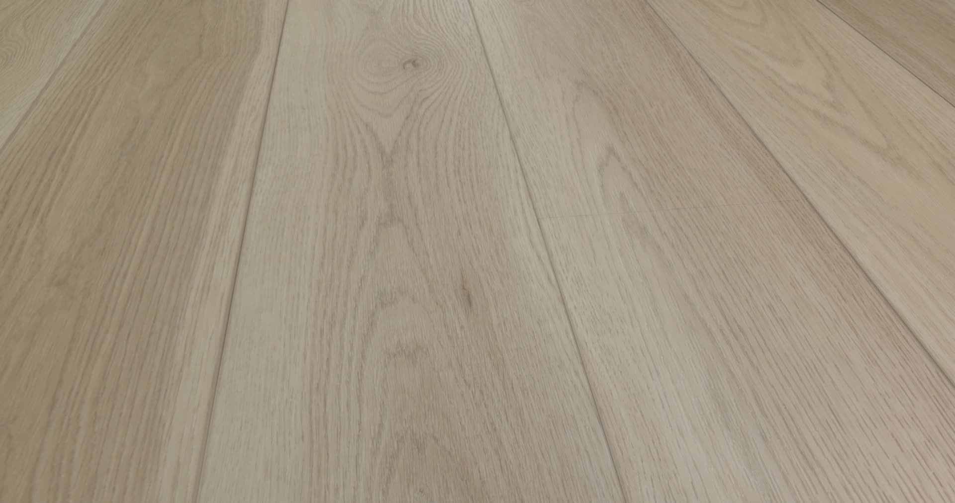 HOMEBOUND MARSHMALLOW 360PROD