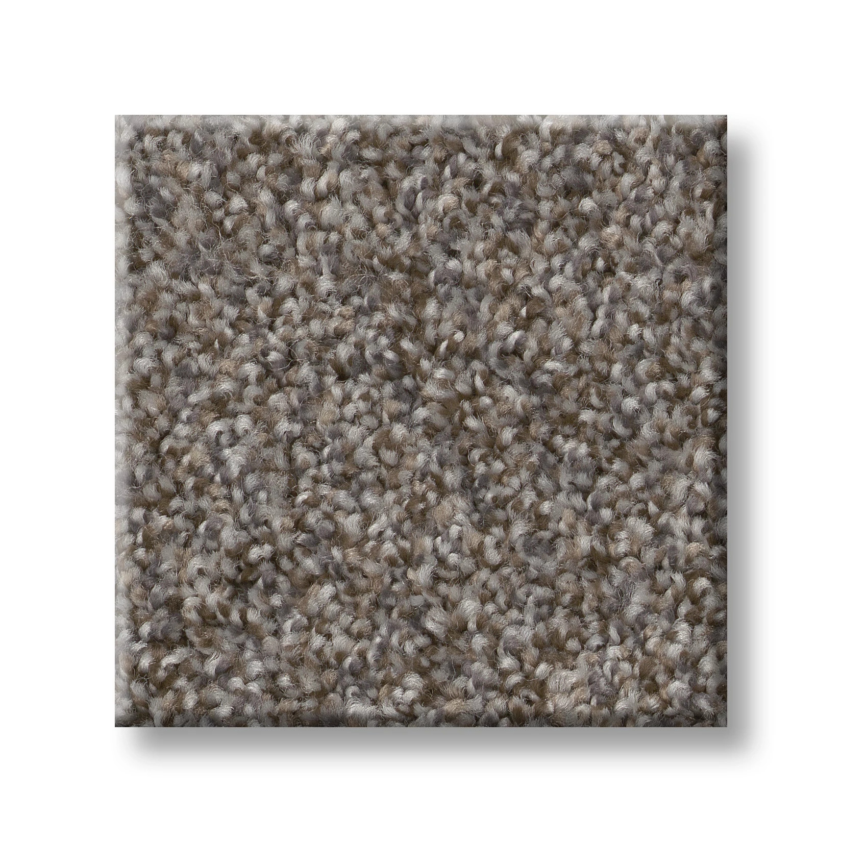 RIGHT CHOICE MEGA TAUPE SWATCH