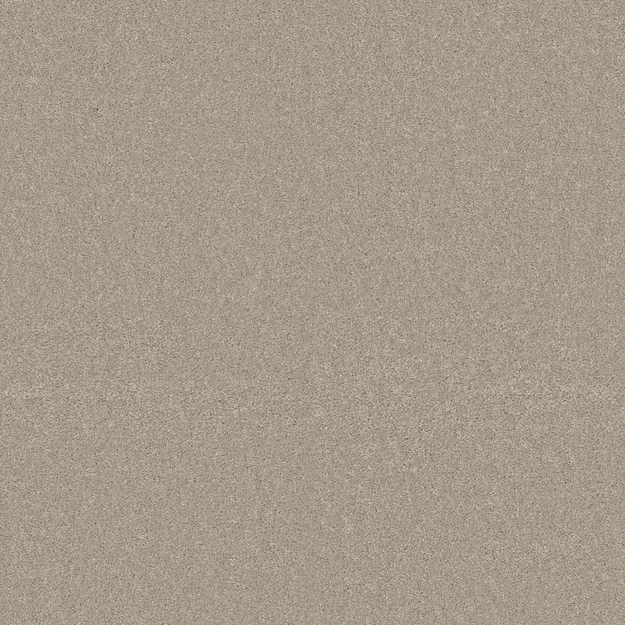 BEAUTIFULLY SIMPLE SOFT CHAMOIS MAIN