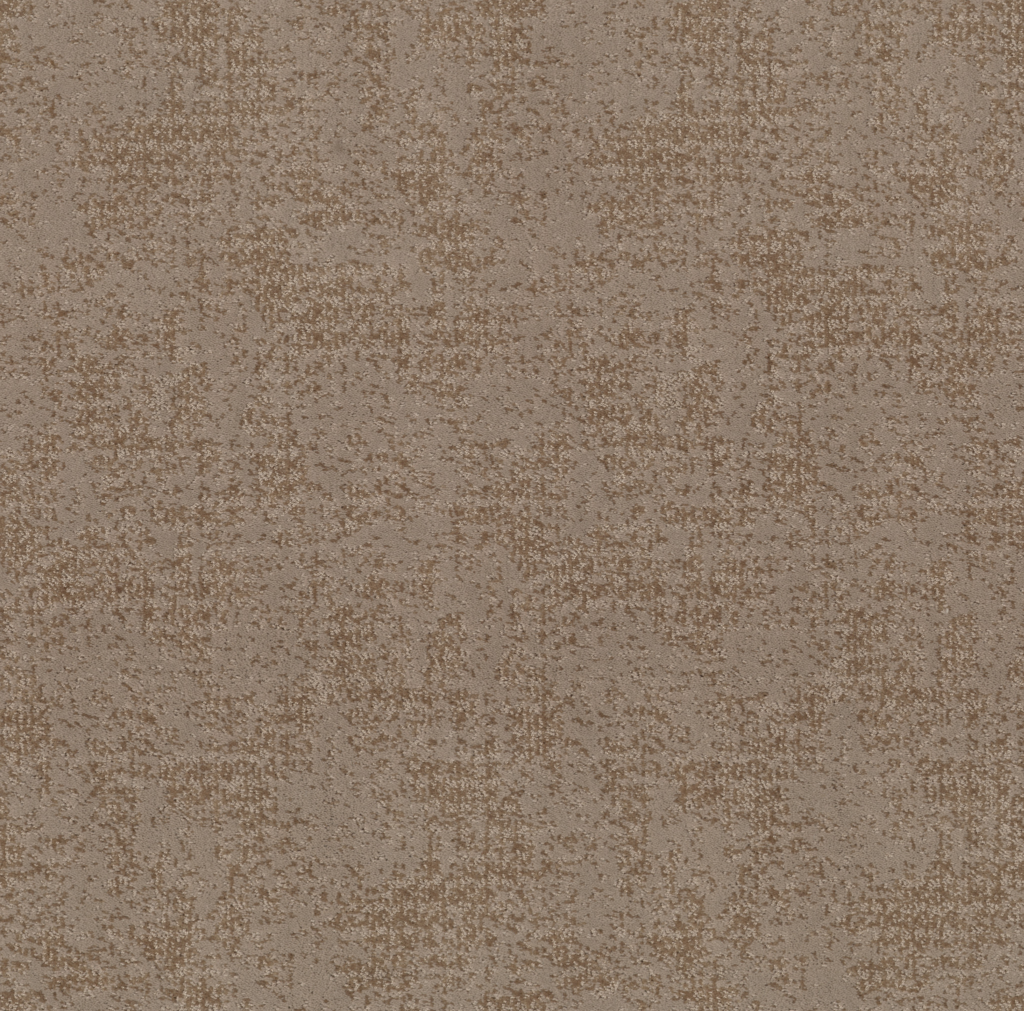 ARTISTIC PRESENCE TUMBLEWEED MAIN