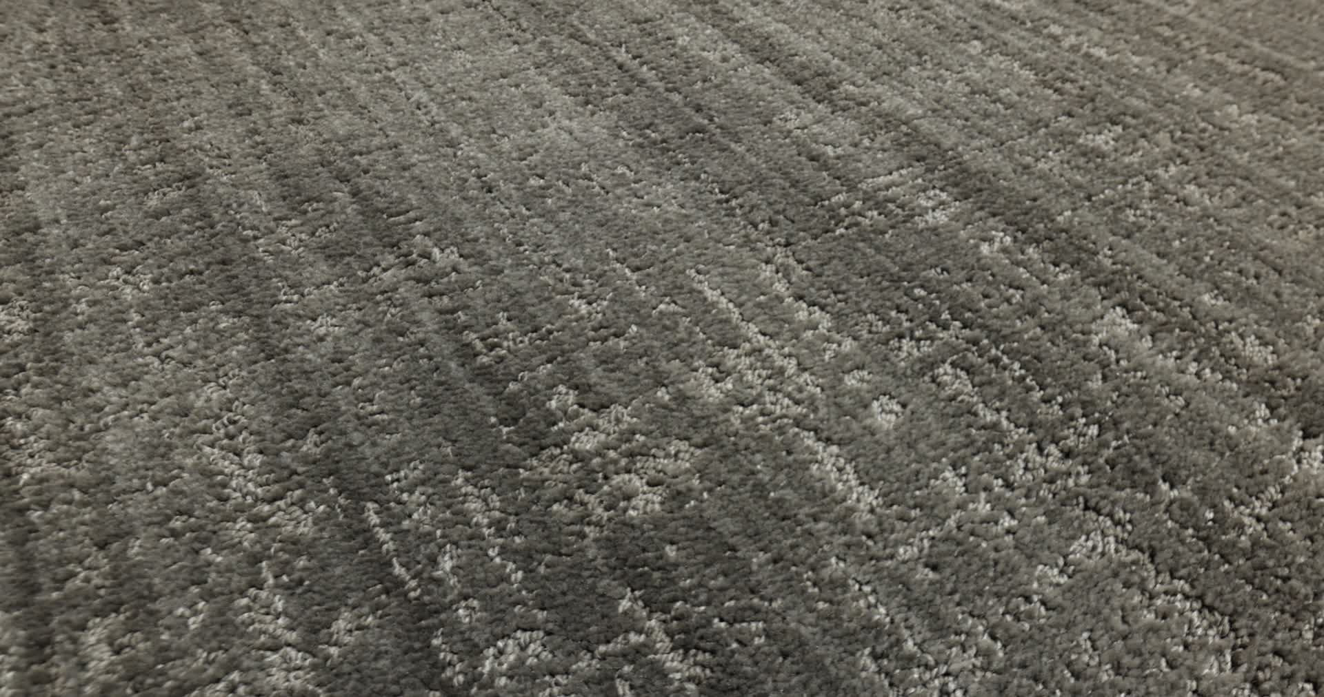 Shady Stroll - Tree Bark Carpet | Shaw Floors