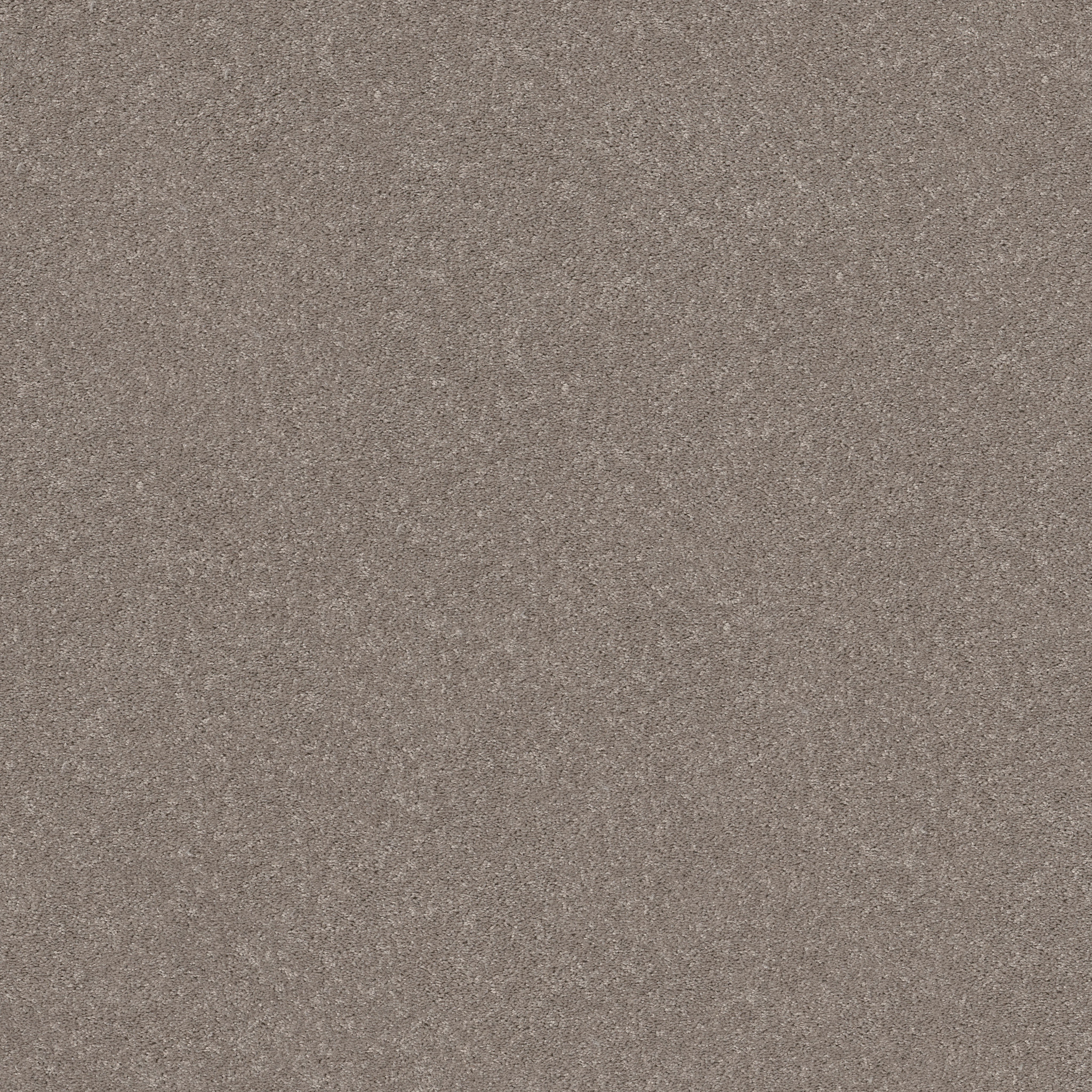 SMOOTH TALK II ANEW GREY MAIN