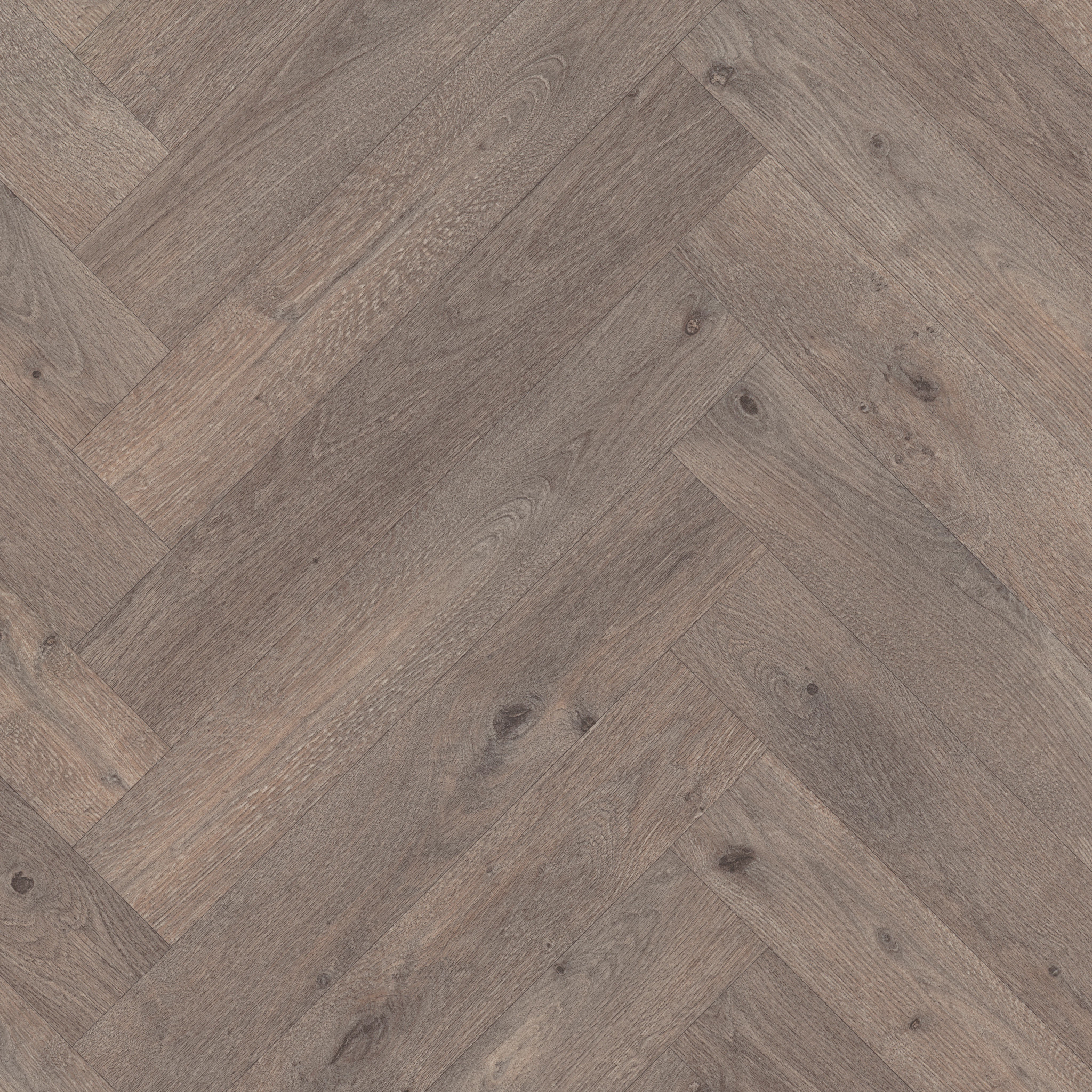 SERENDIPITY AQUILA MAIN