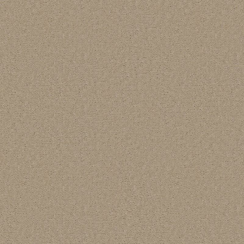Emphatic II 30 Broadloom Carpet in Coffee Bean color, 12ft wide, made of 100% nylon