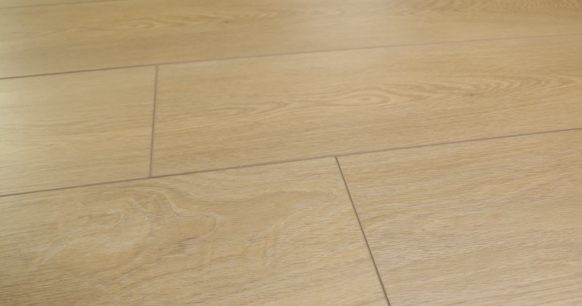 DISTINCTION PLUS TIMELESS OAK 360PROD