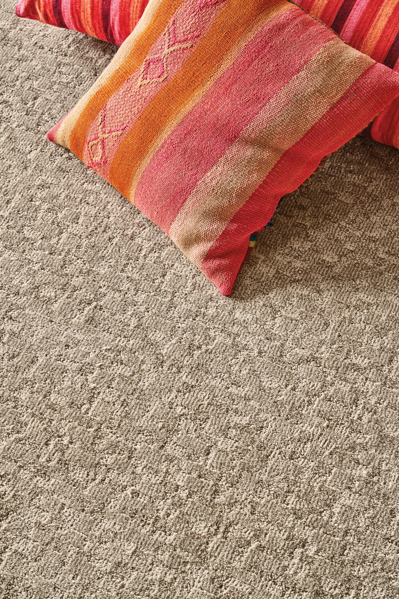 PAW-TAY BIRCH StaticImage03