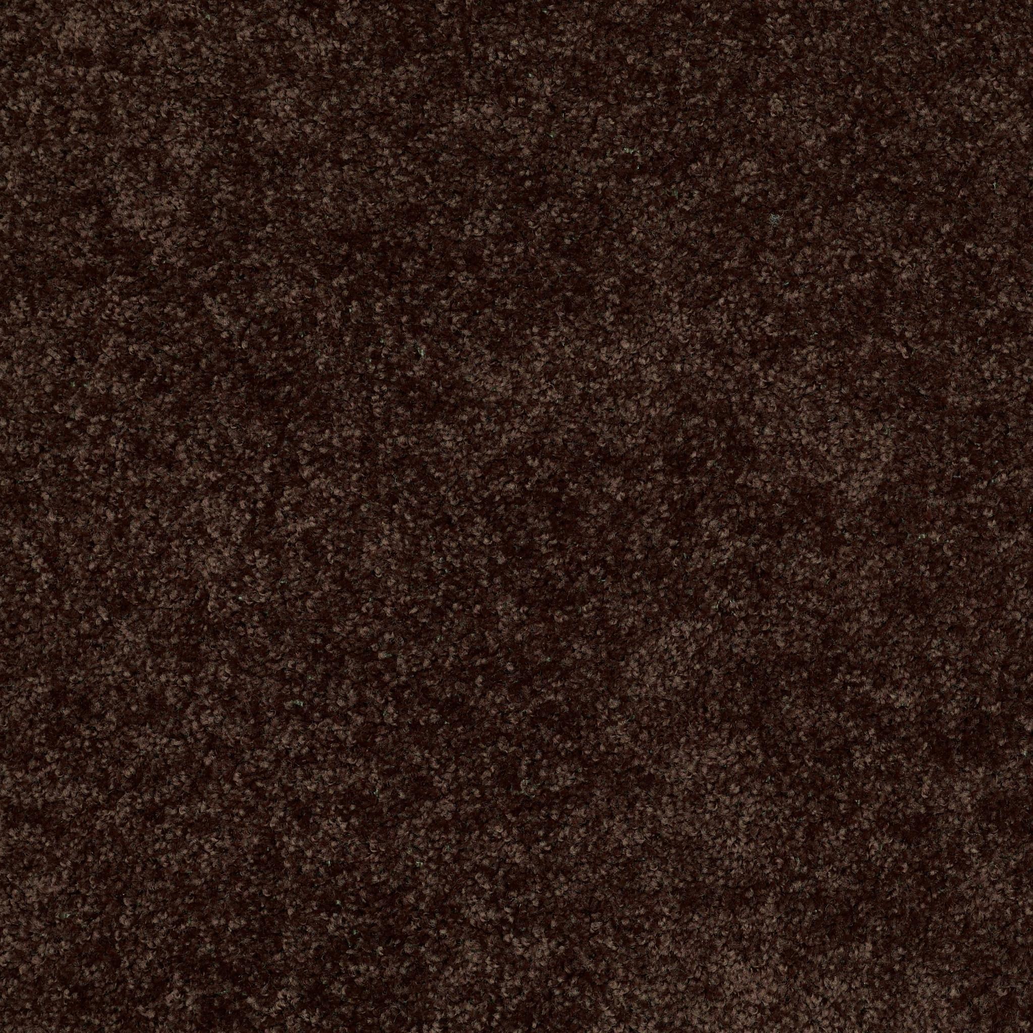 All Star Weekend I 12' by Shaw Floors