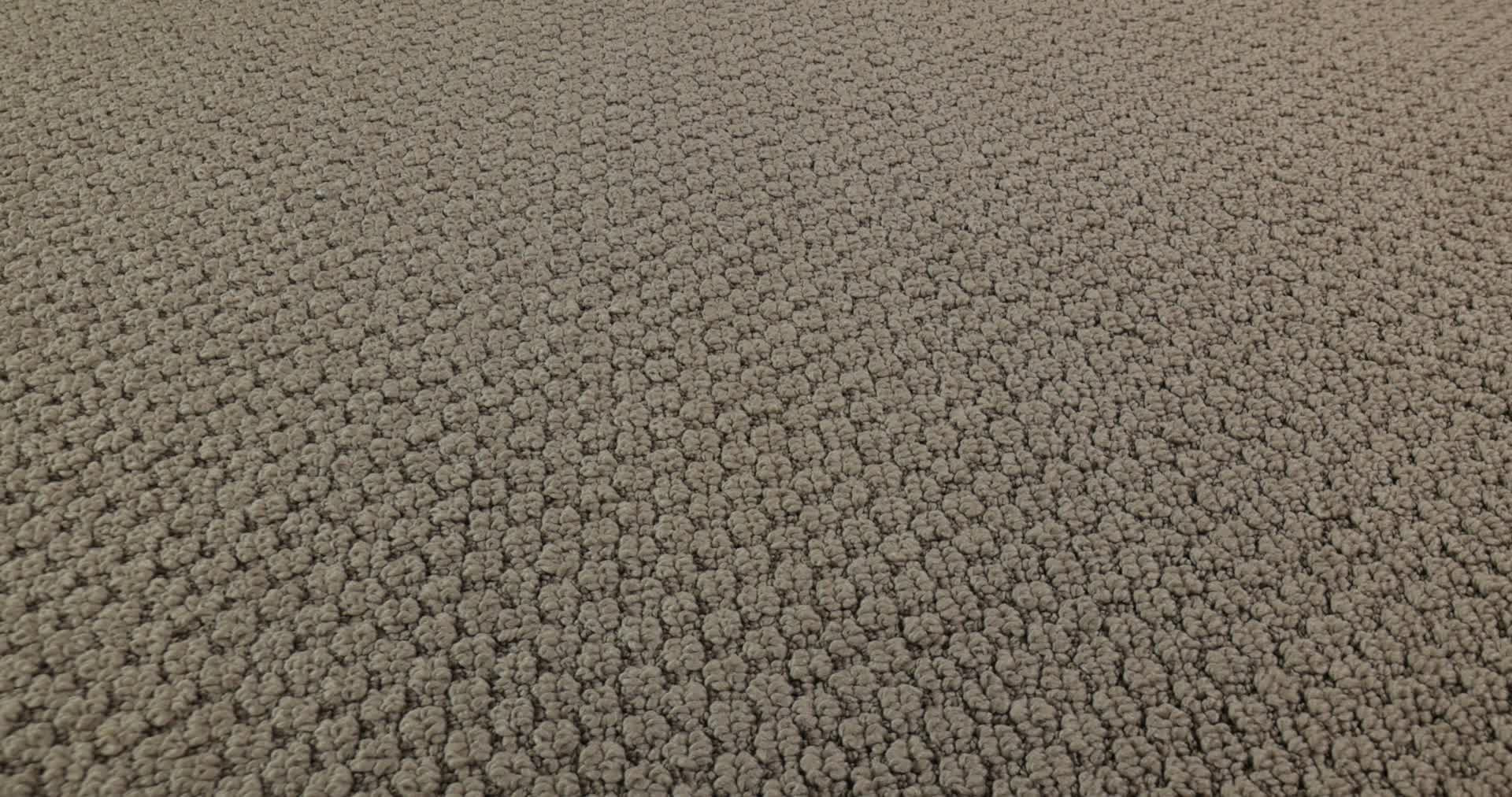 AG In The Loop LEATHER 360PROD