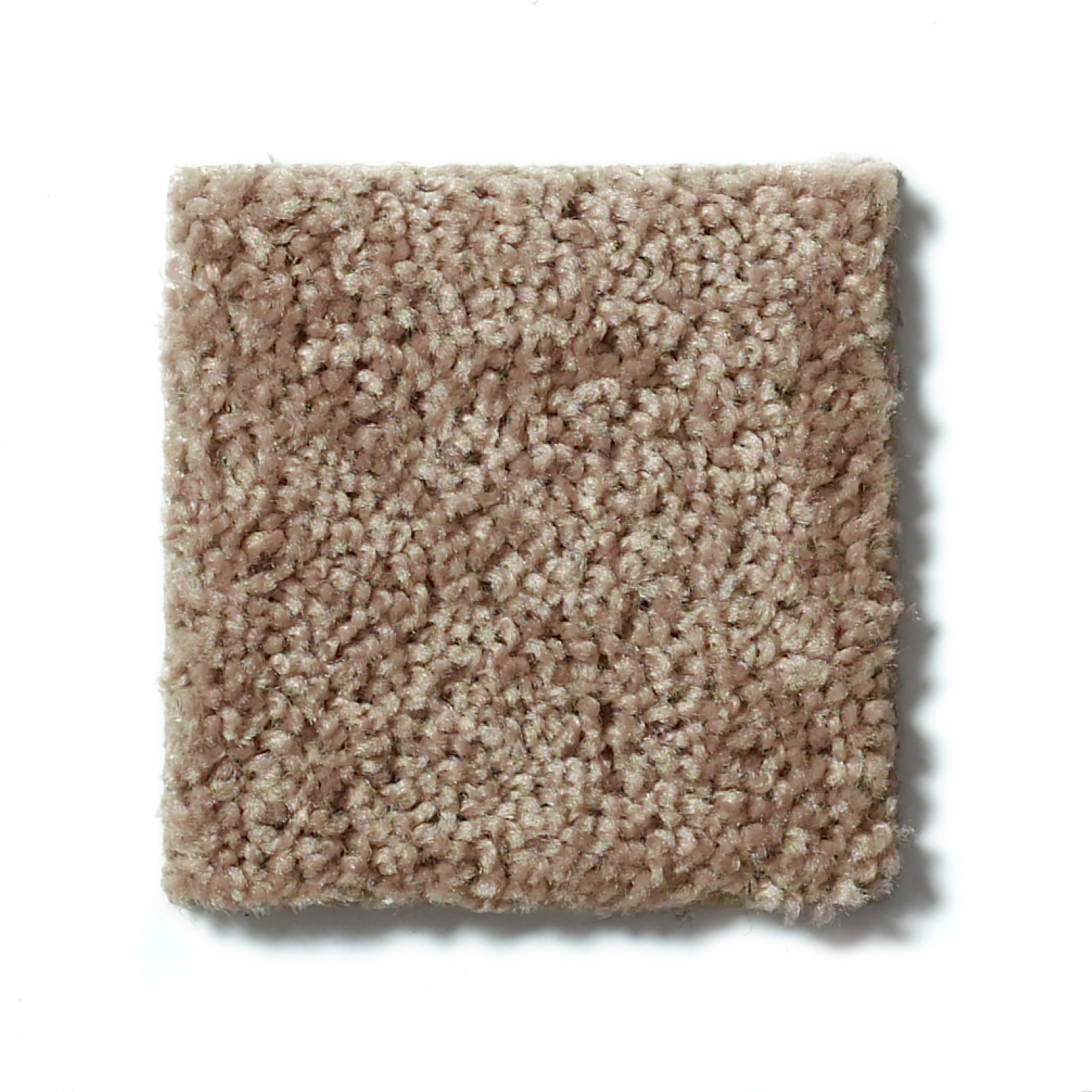 ROYAL PORTRUSH I 15 GRANOLA SWATCH