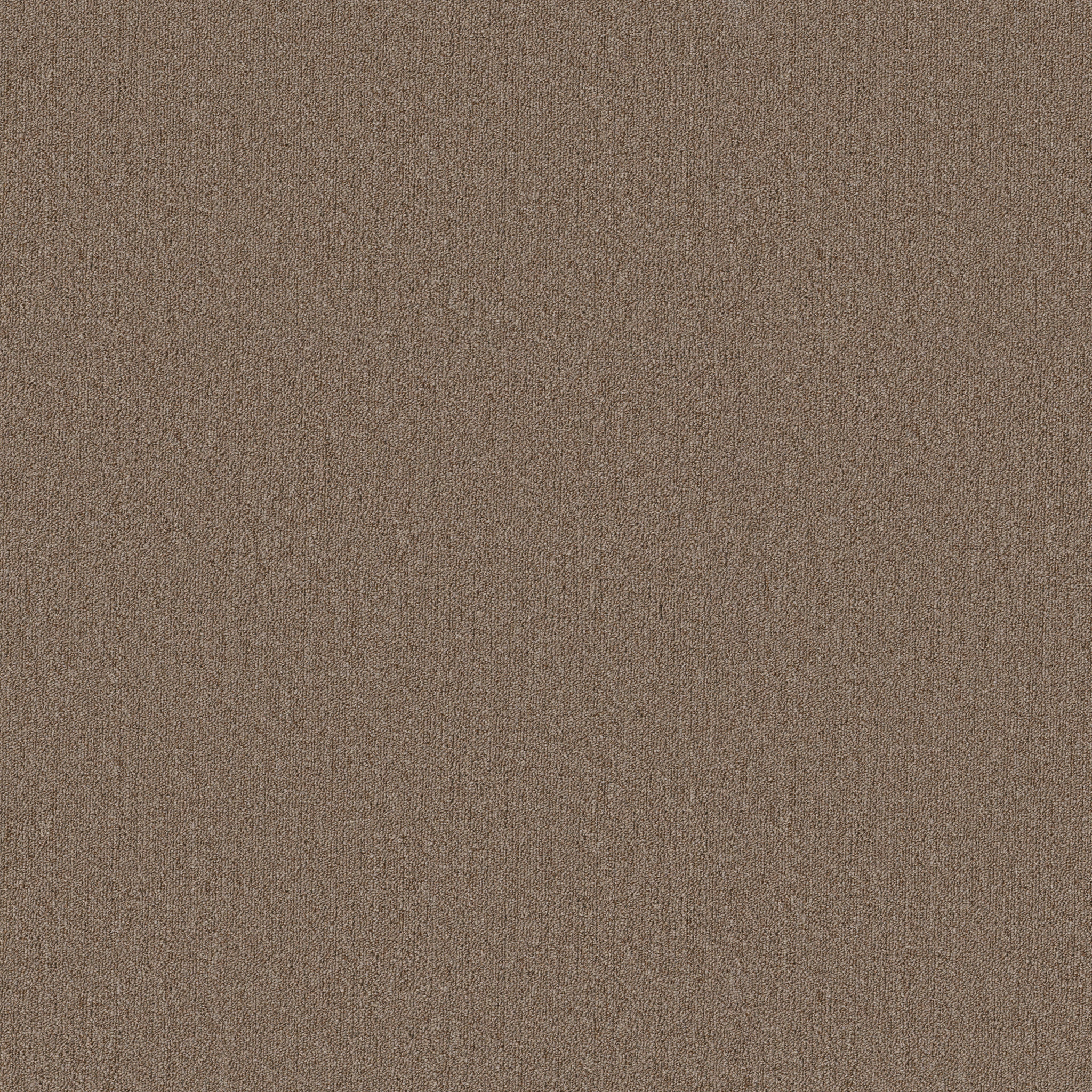 PROFUSION-26-54969-AMPLE-00230-main-image