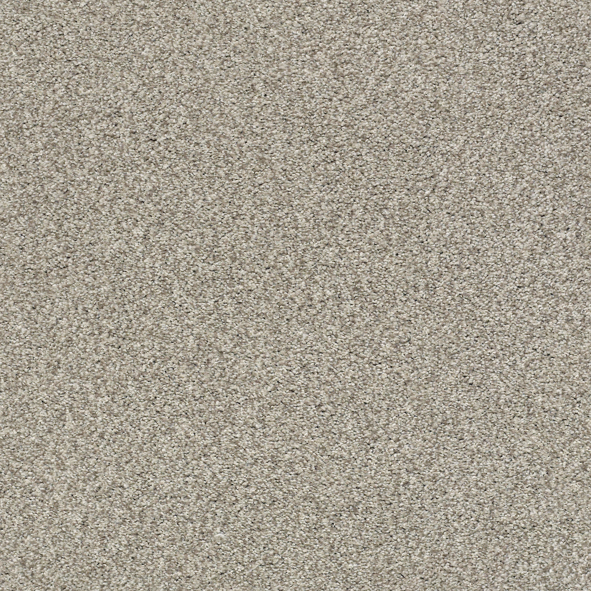 TONAL COMFORT BLUE BACK PATIO MAIN