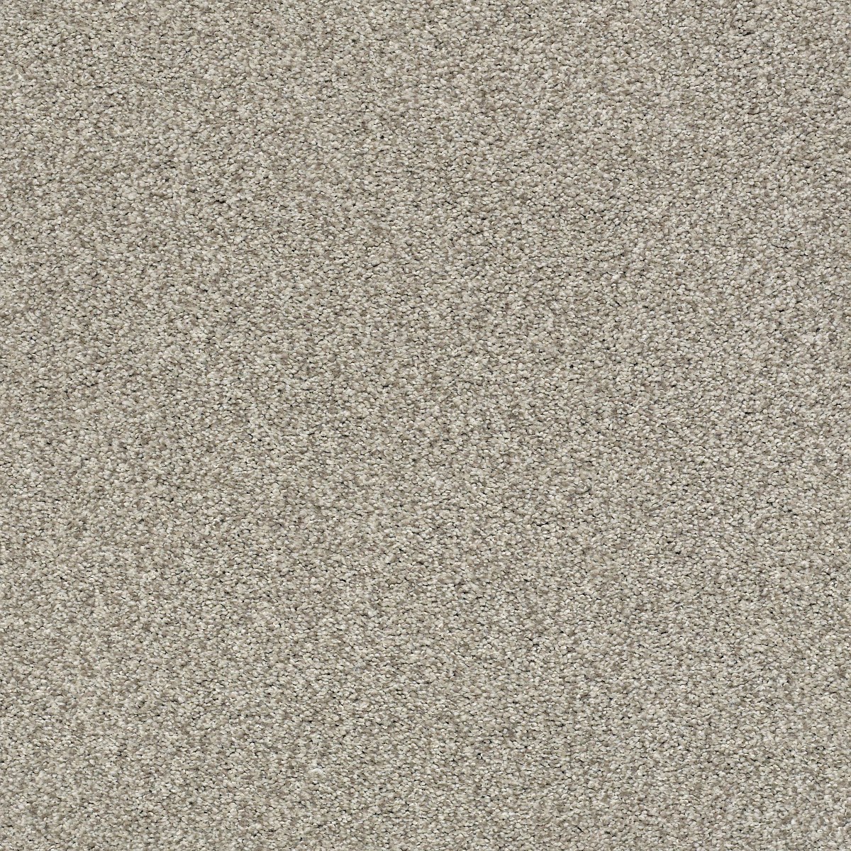 Shaw Floors TONAL COMFORT BLUE — BACK PATIO