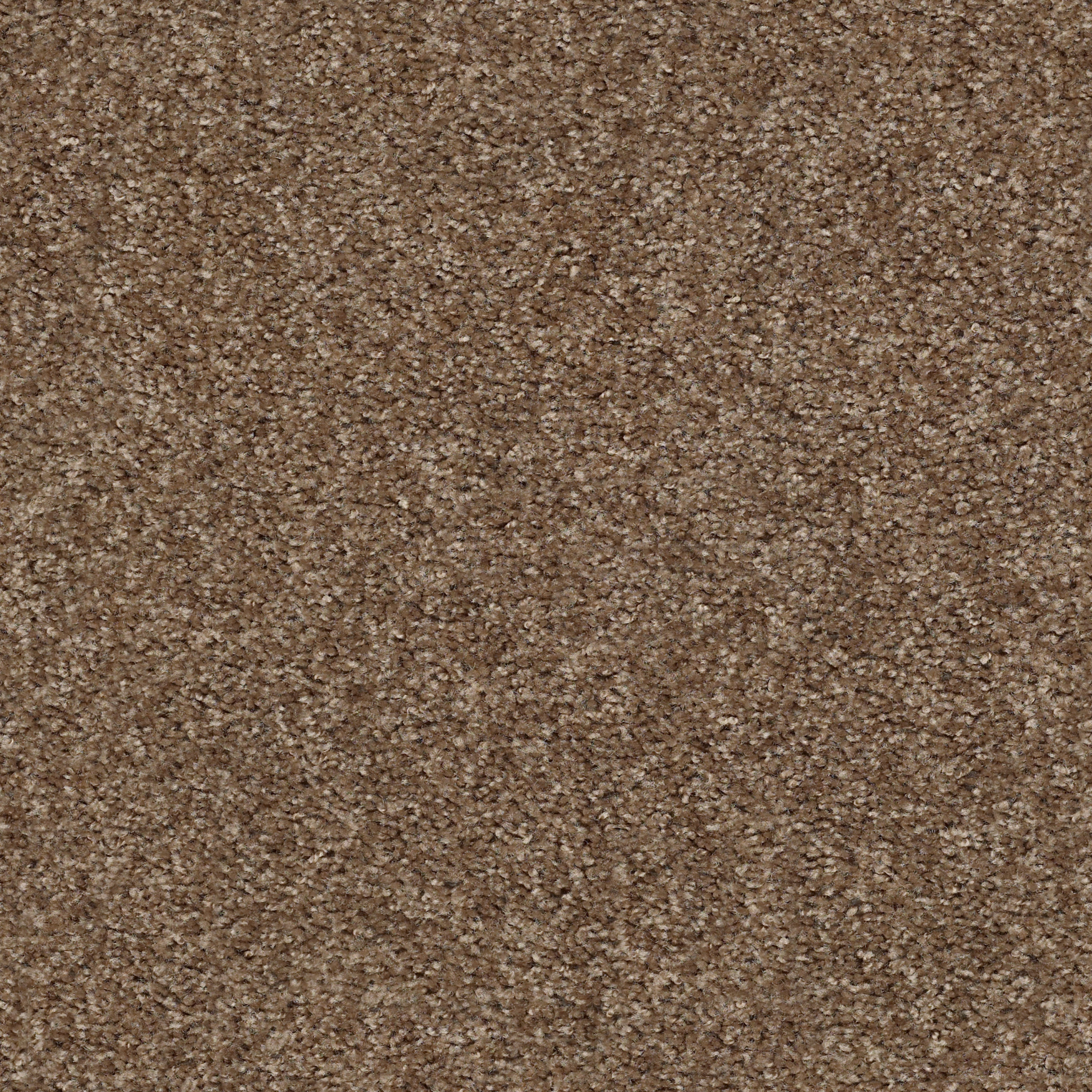 VALIANT MAPLE VALLEY MAIN