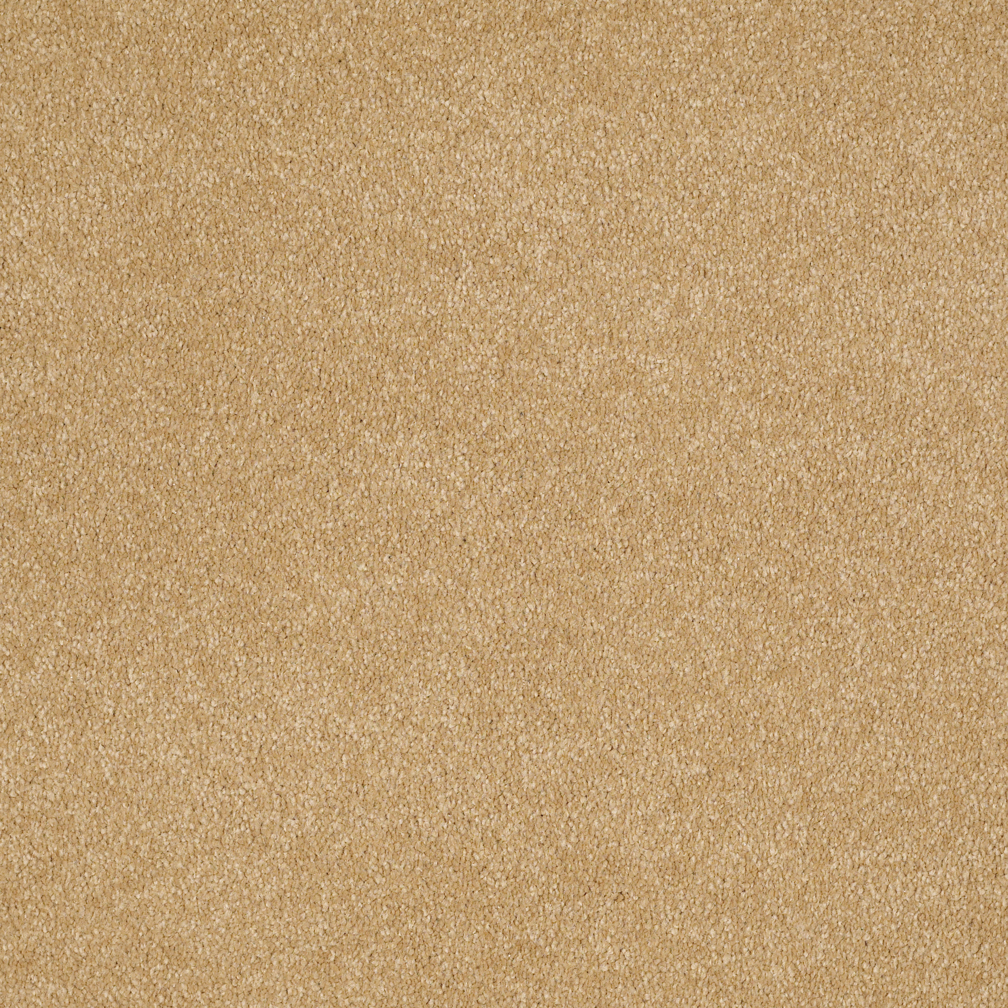 SANDY HOLLOW CLASSIC IV 12' CORK MAIN